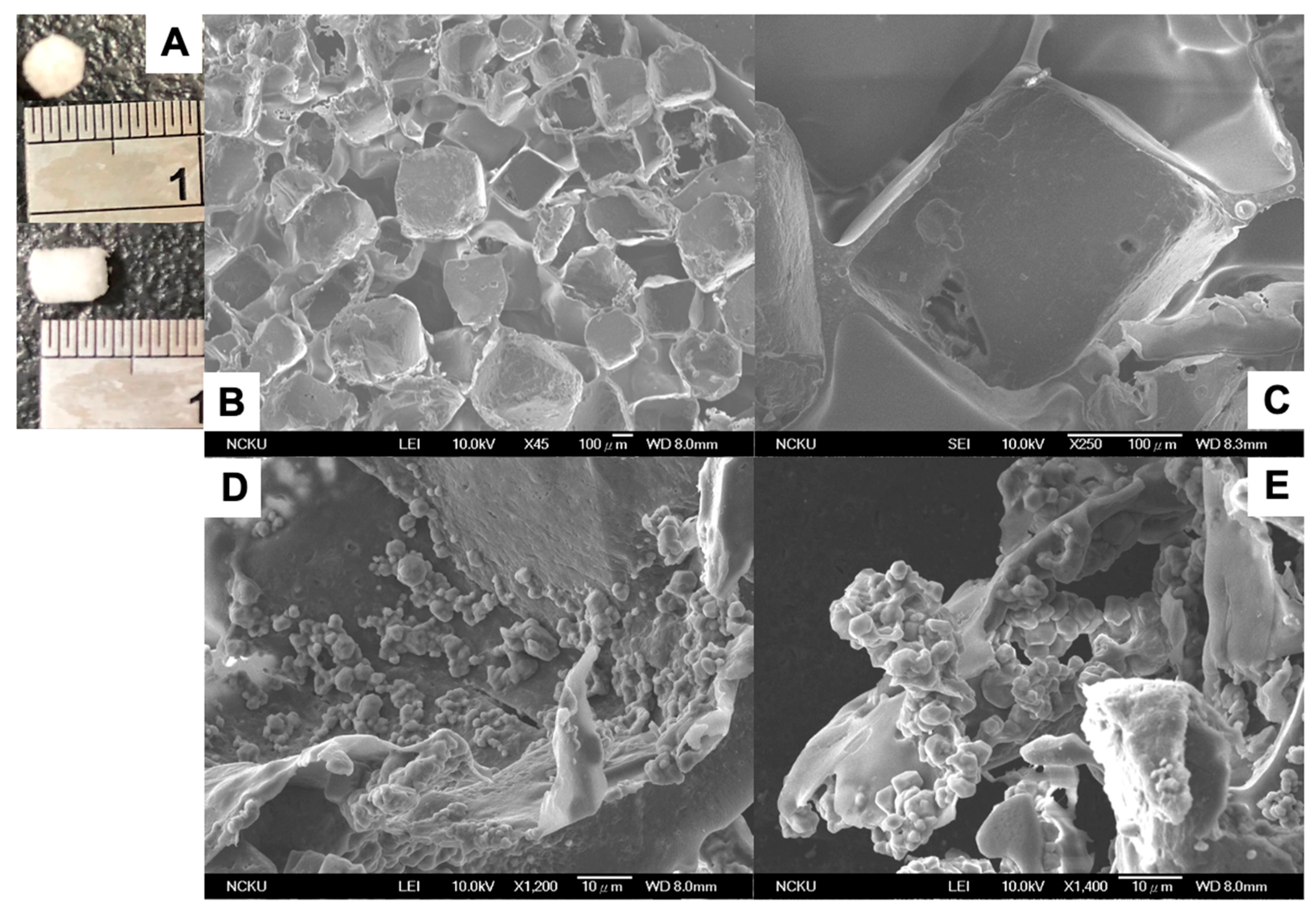 Cells 10 03536 g003 550