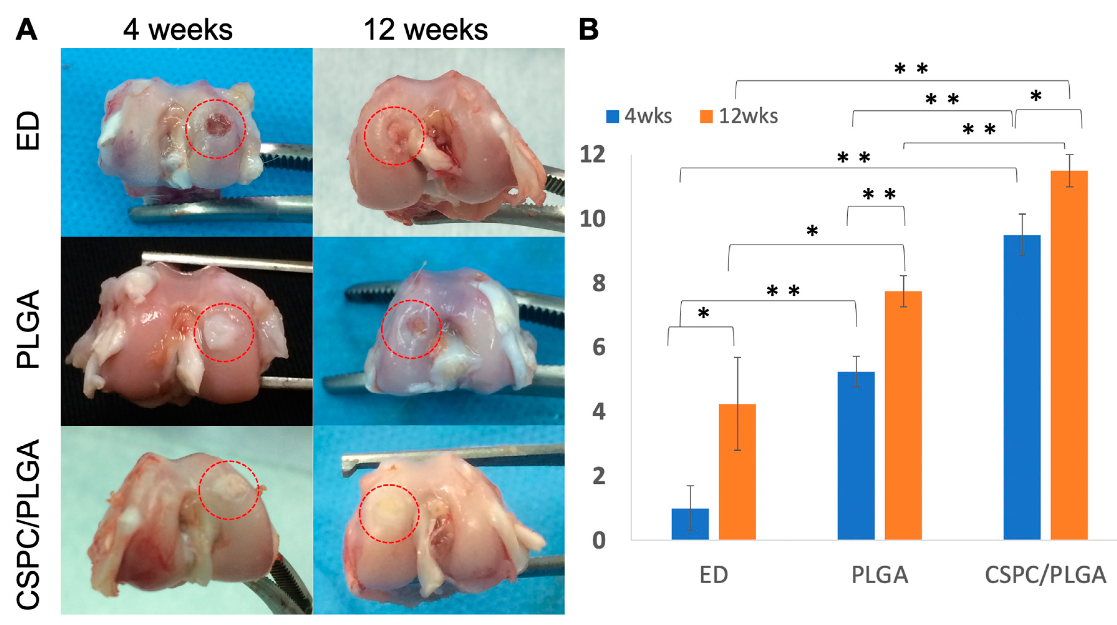 Cells 10 03536 g005 550