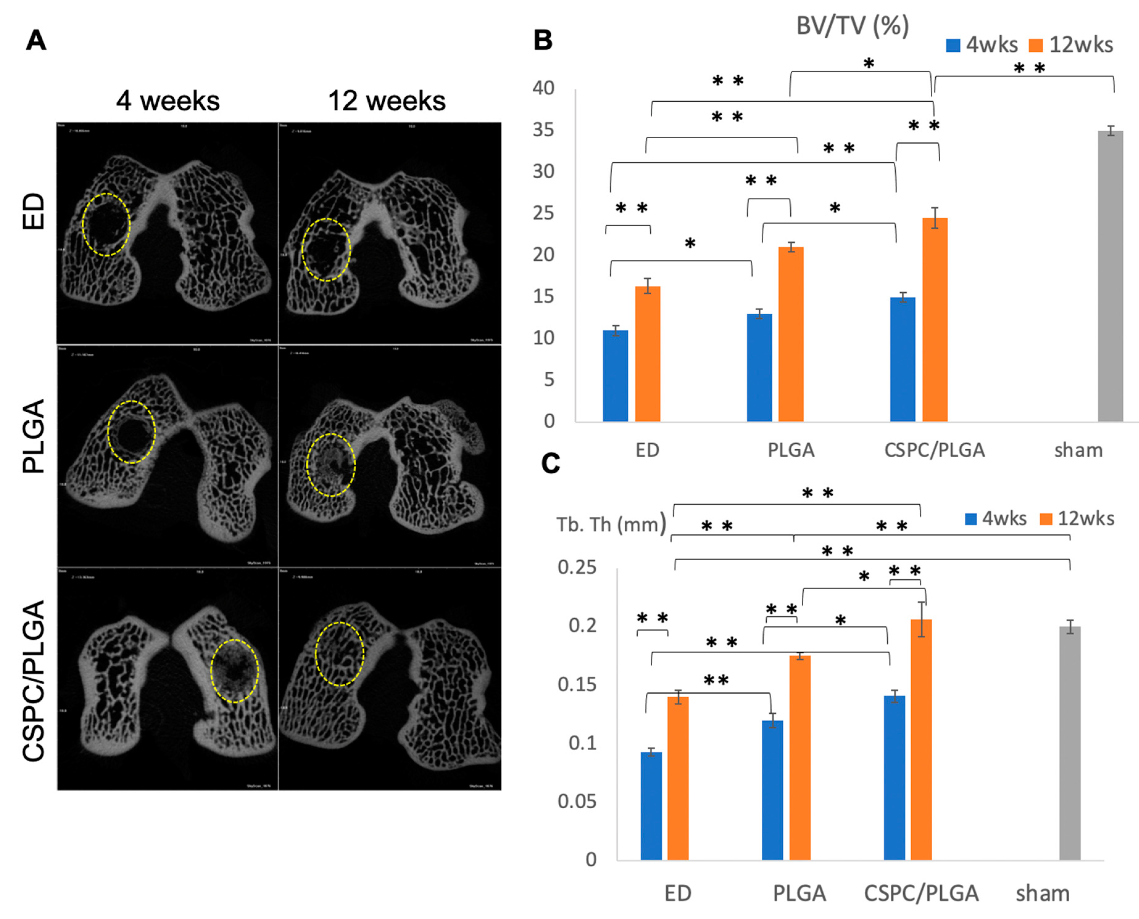 Cells 10 03536 g006 550