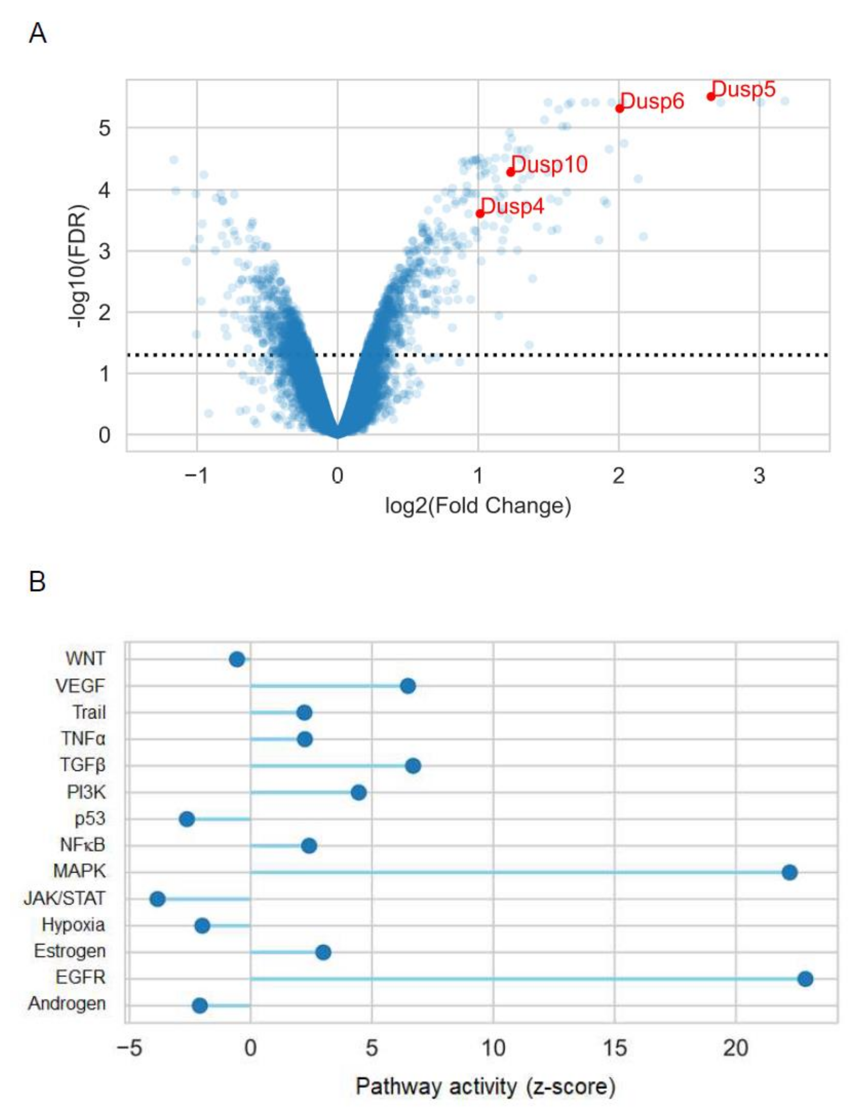 Cells 10 03538 g001 Cells 10 03538 g001