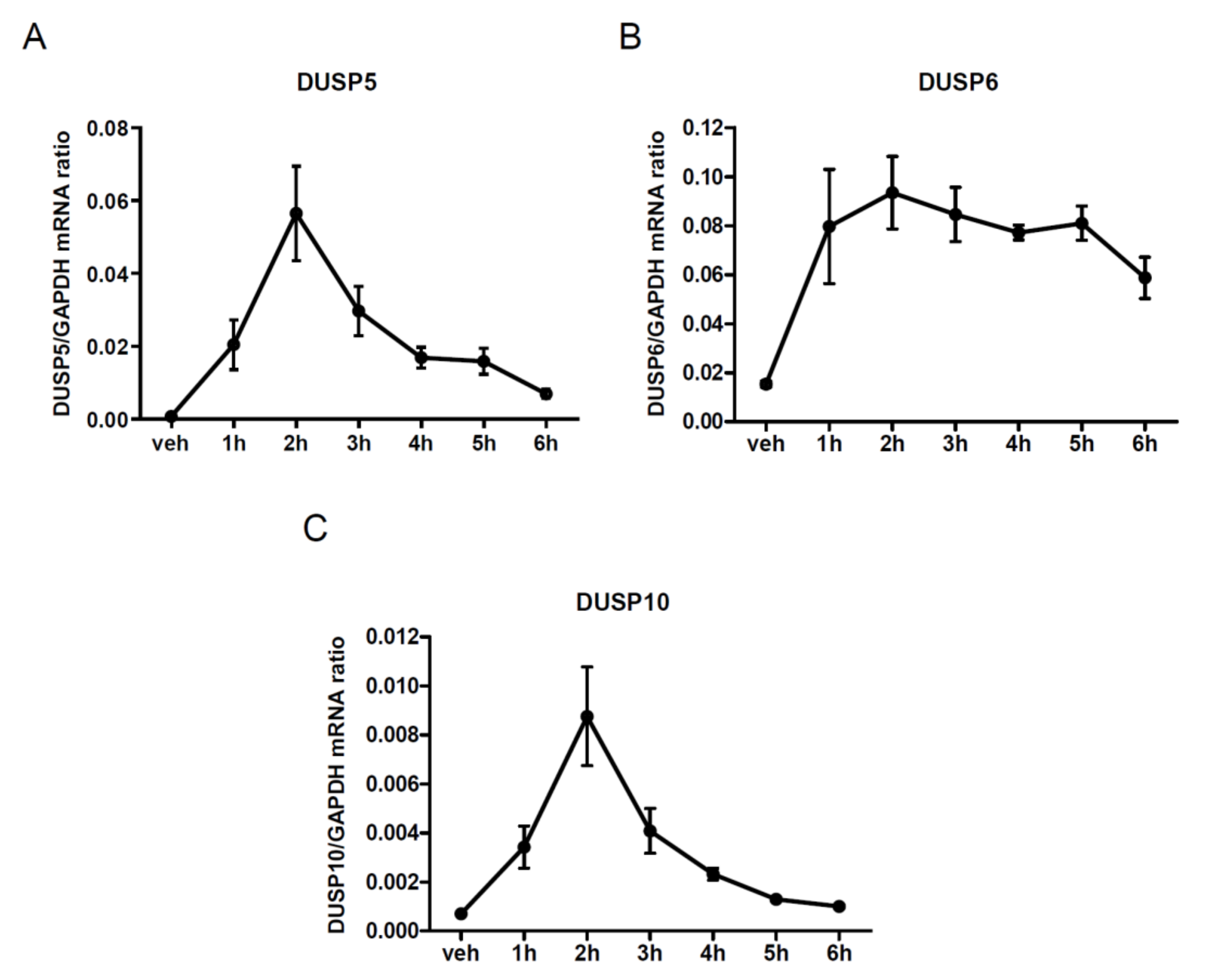 Cells 10 03538 g002 Cells 10 03538 g002