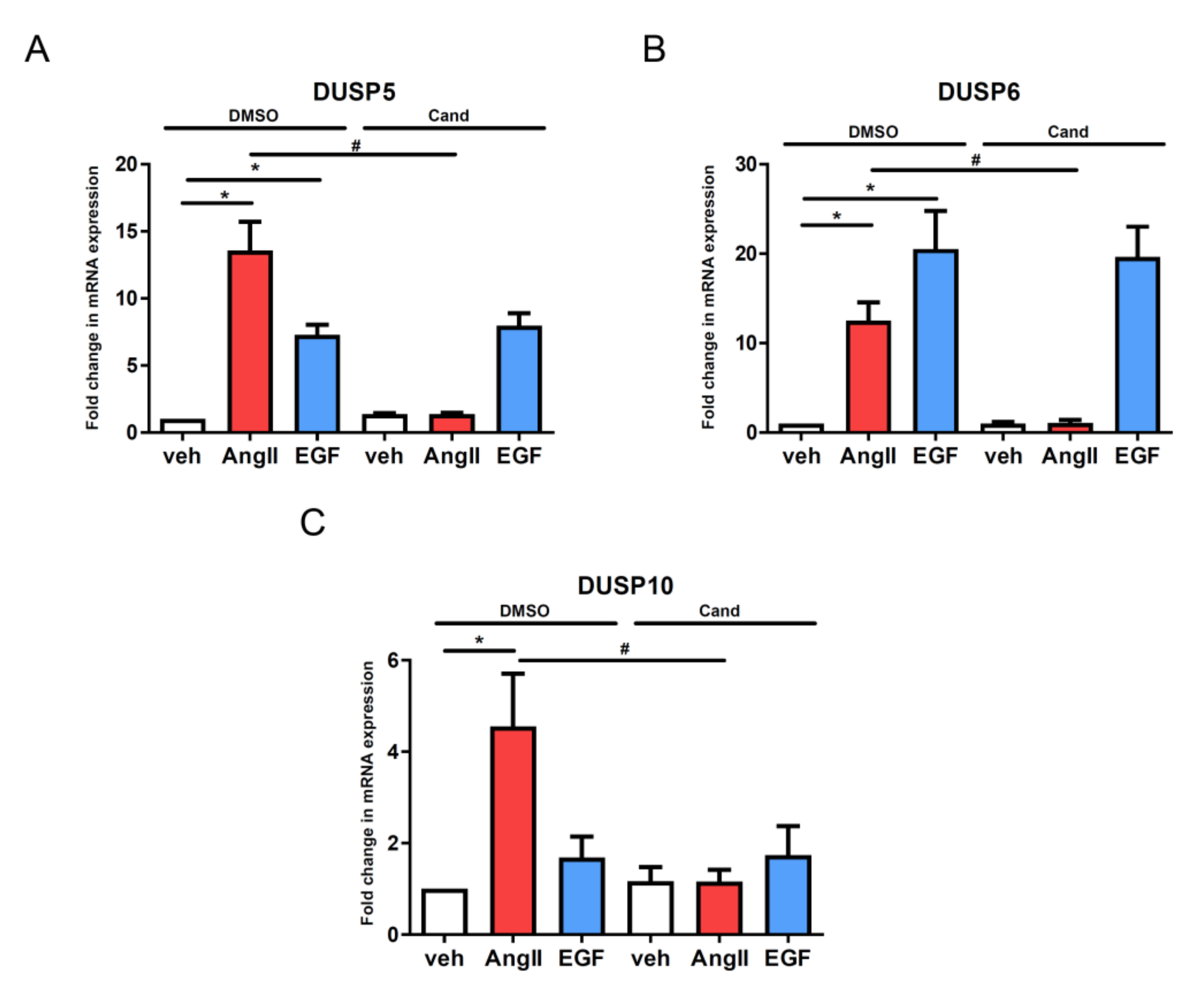 Cells 10 03538 g003 Cells 10 03538 g003