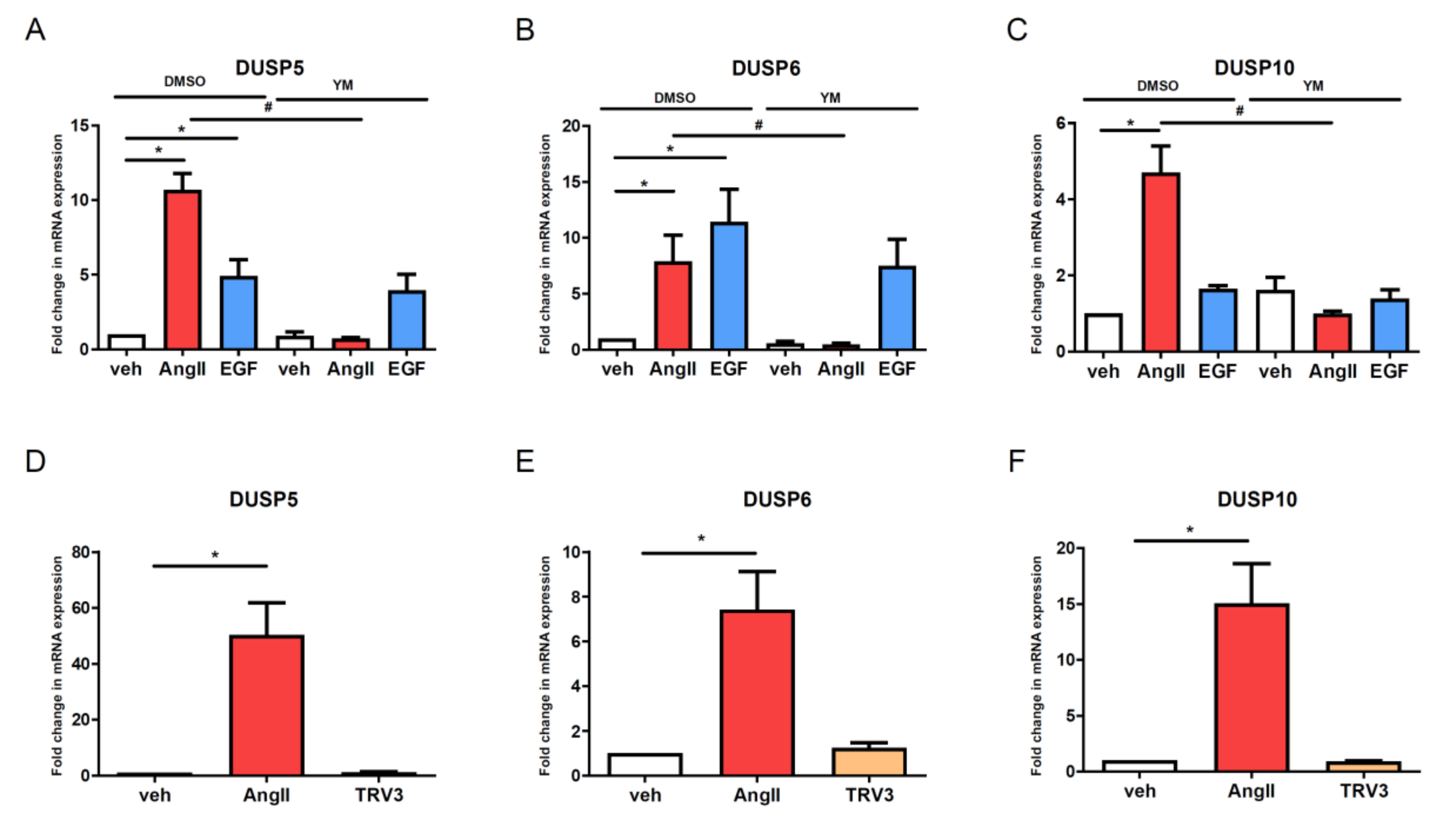 Cells 10 03538 g004 Cells 10 03538 g004