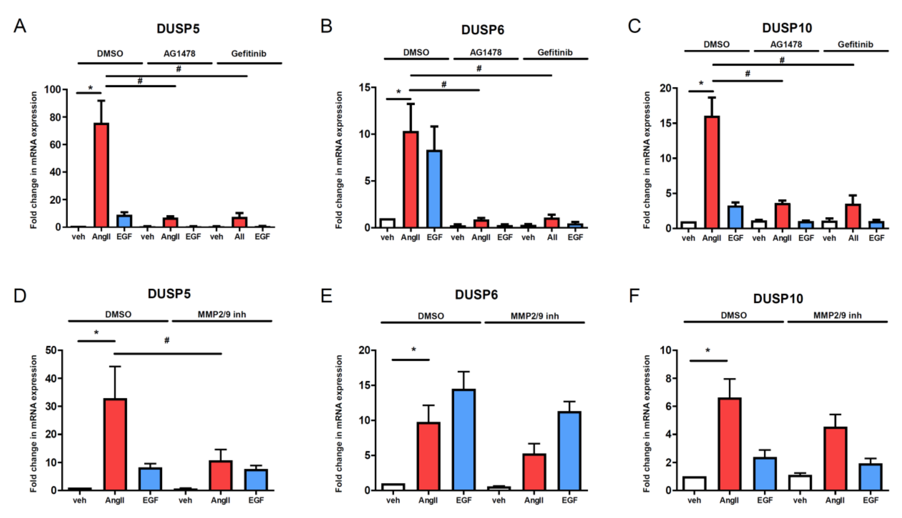 Cells 10 03538 g005 Cells 10 03538 g005