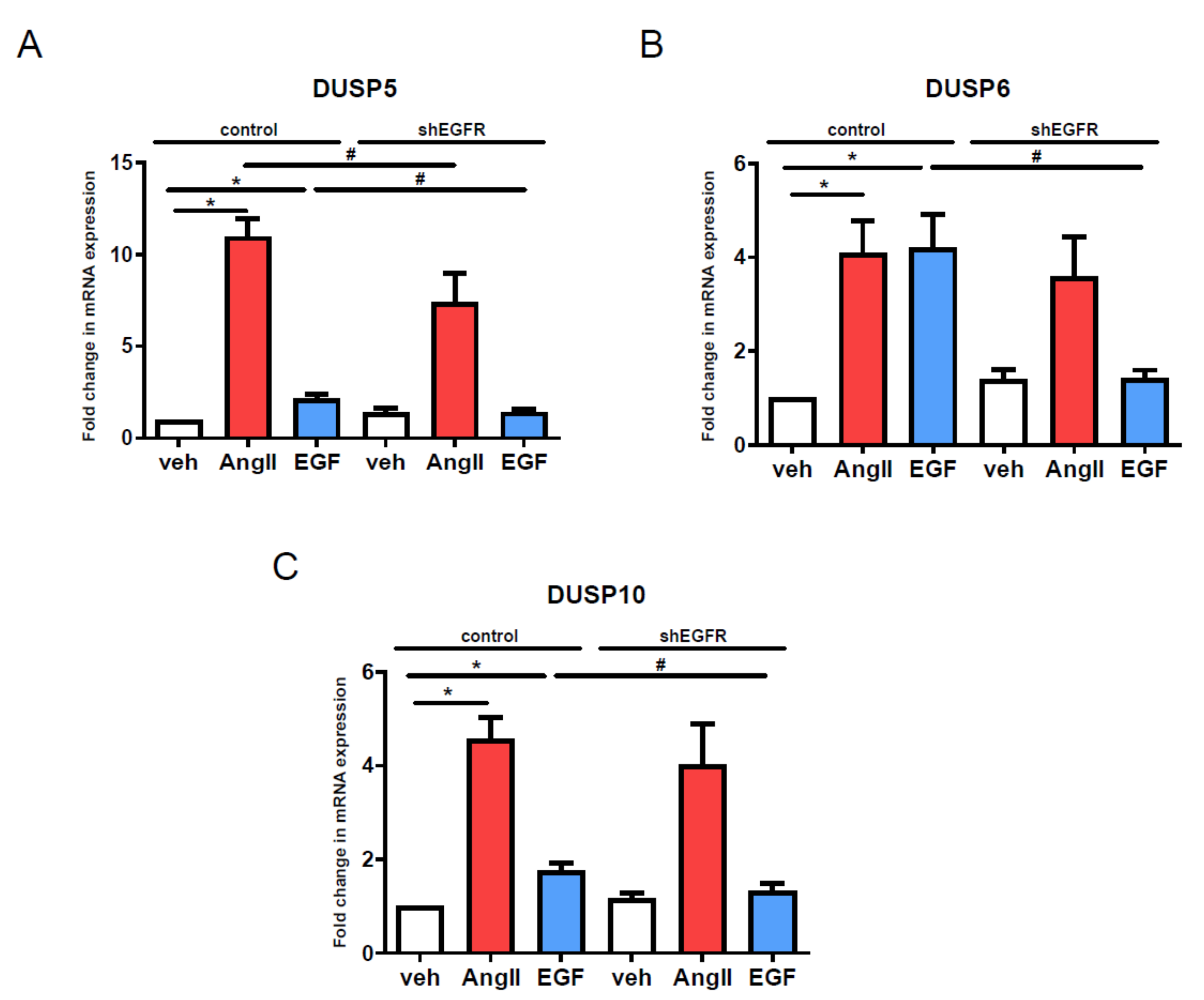 Cells 10 03538 g007 Cells 10 03538 g007