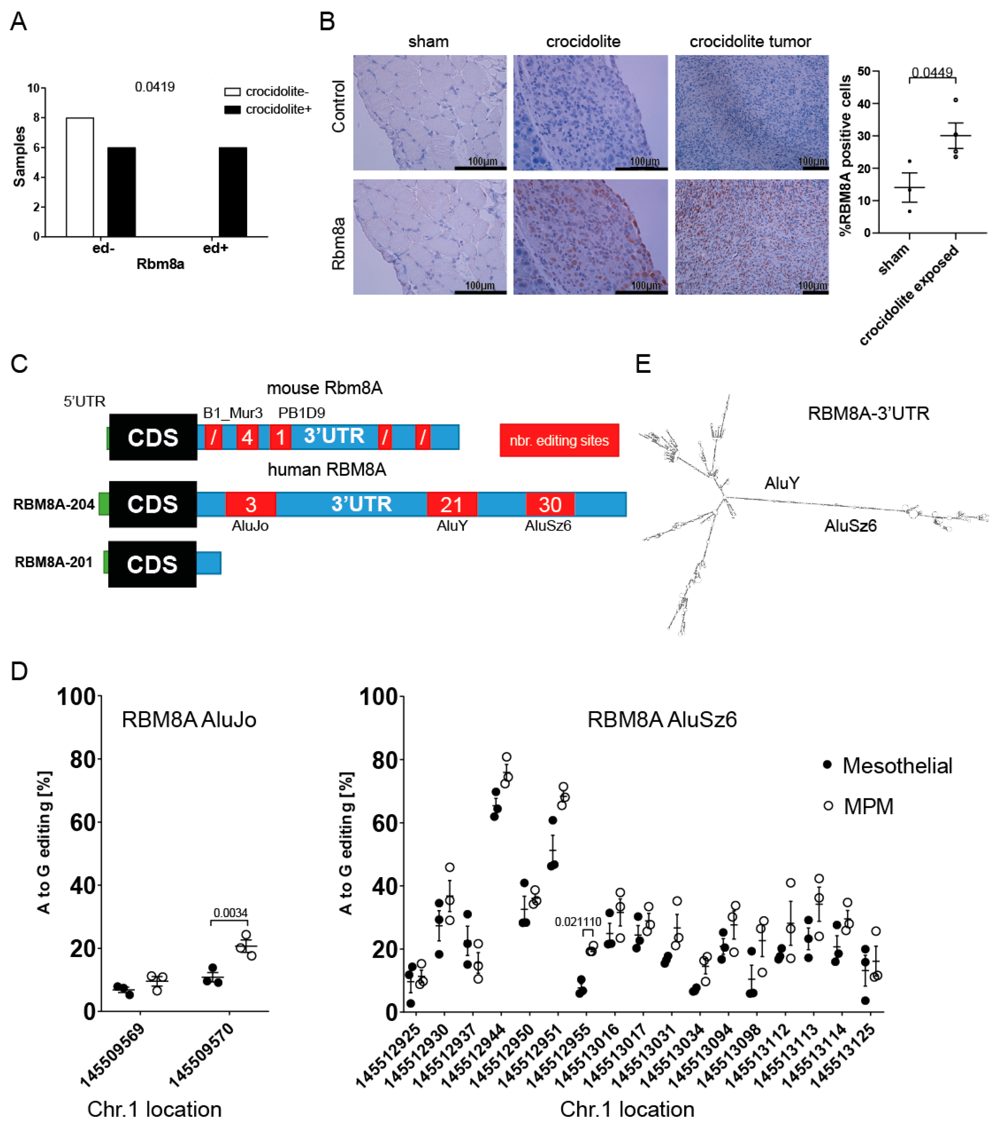 Cells 10 03543 g002 550