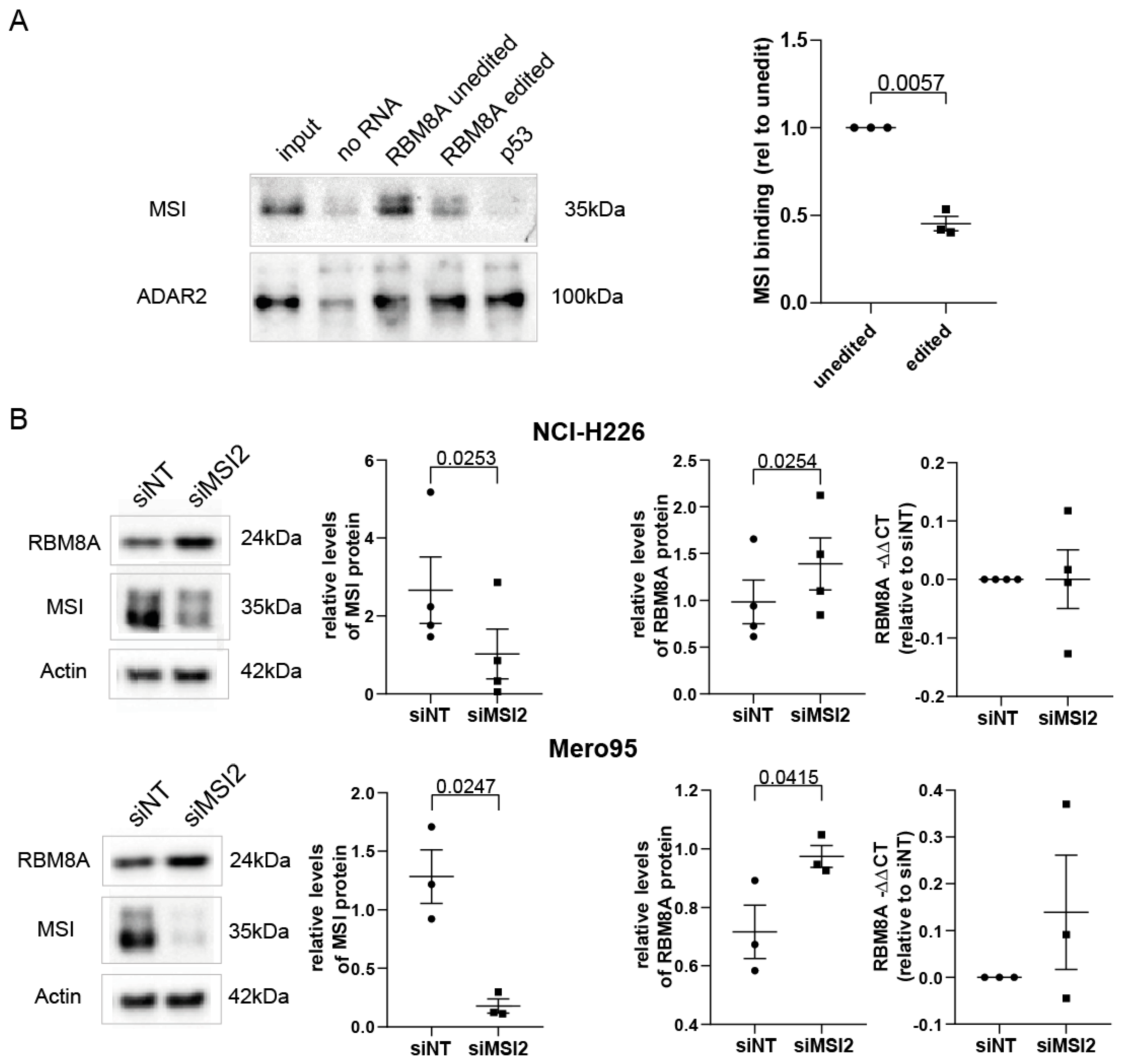 Cells 10 03543 g005 550