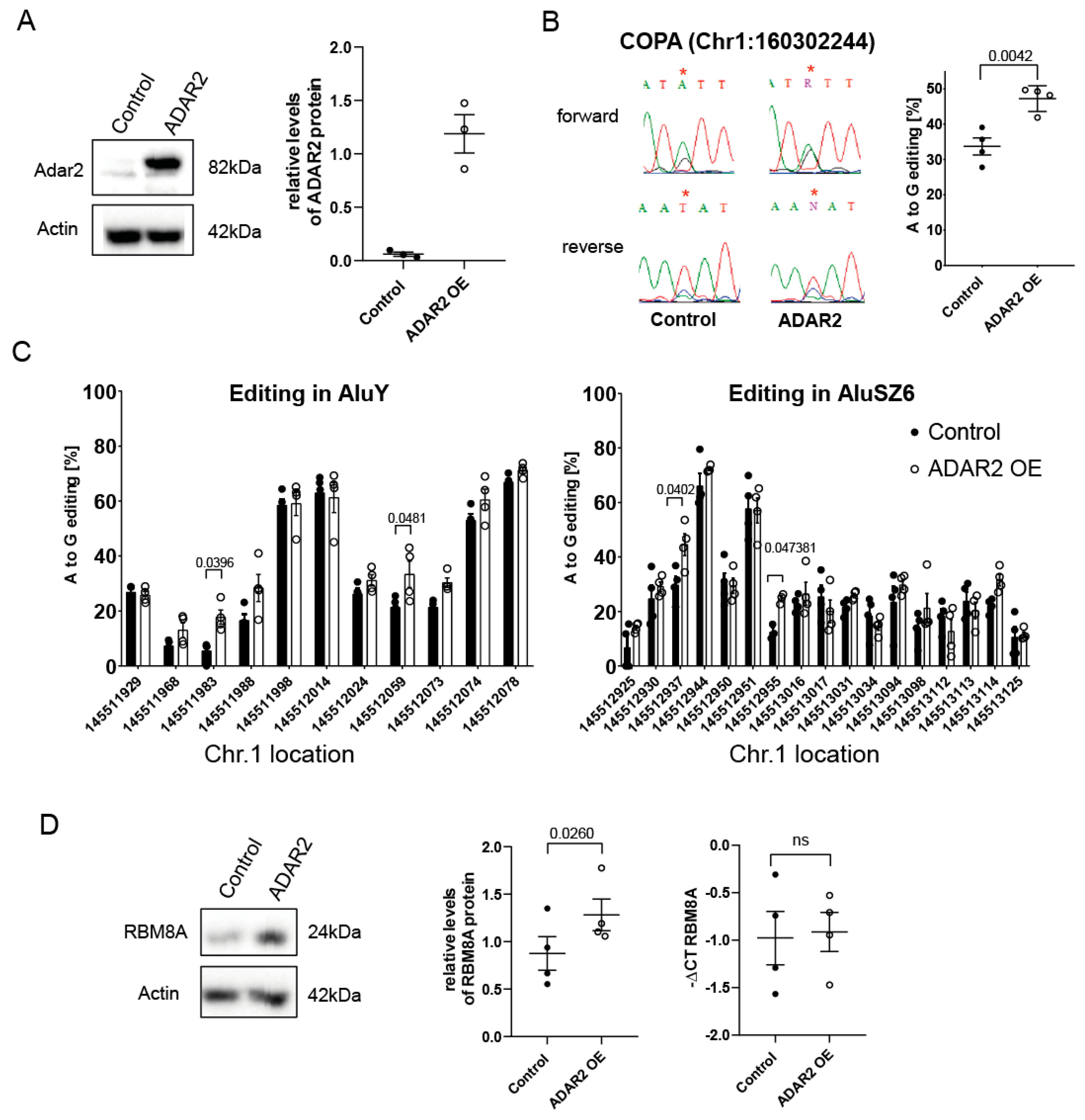 Cells 10 03543 g006 550
