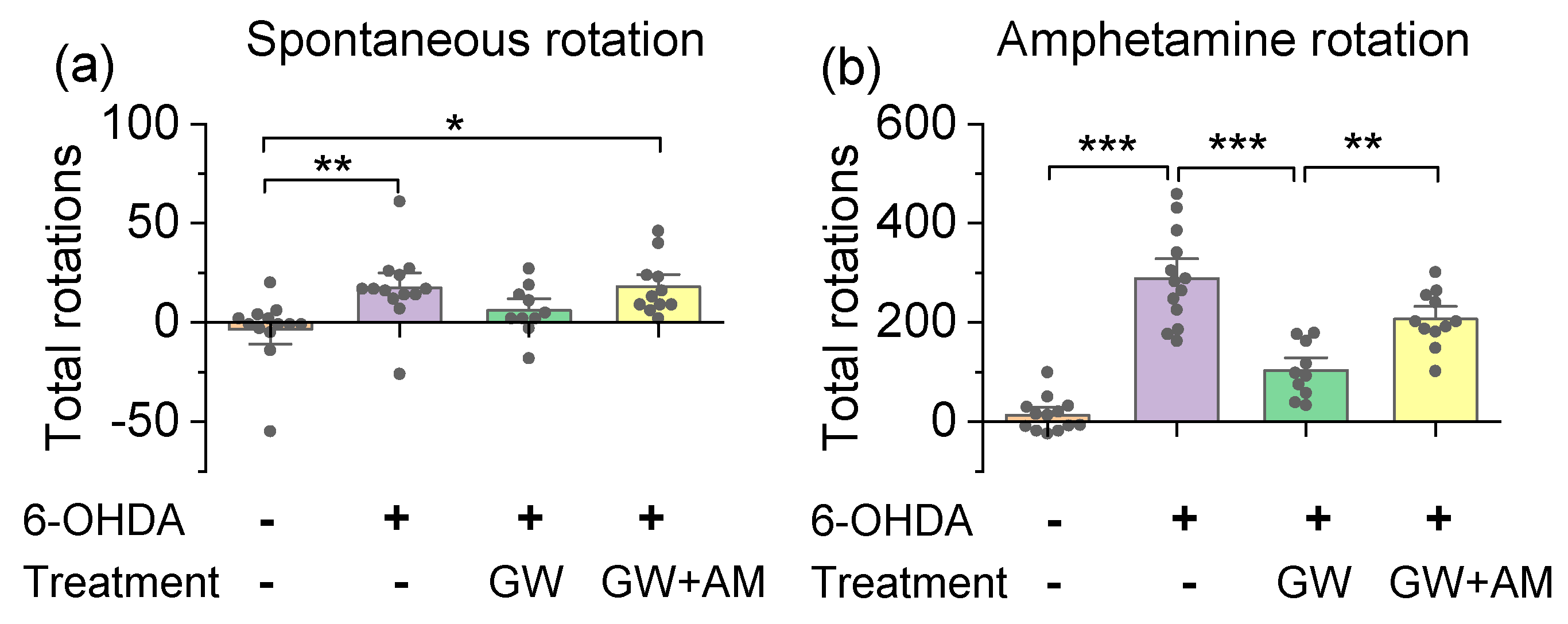 Cells 10 03548 g006 550
