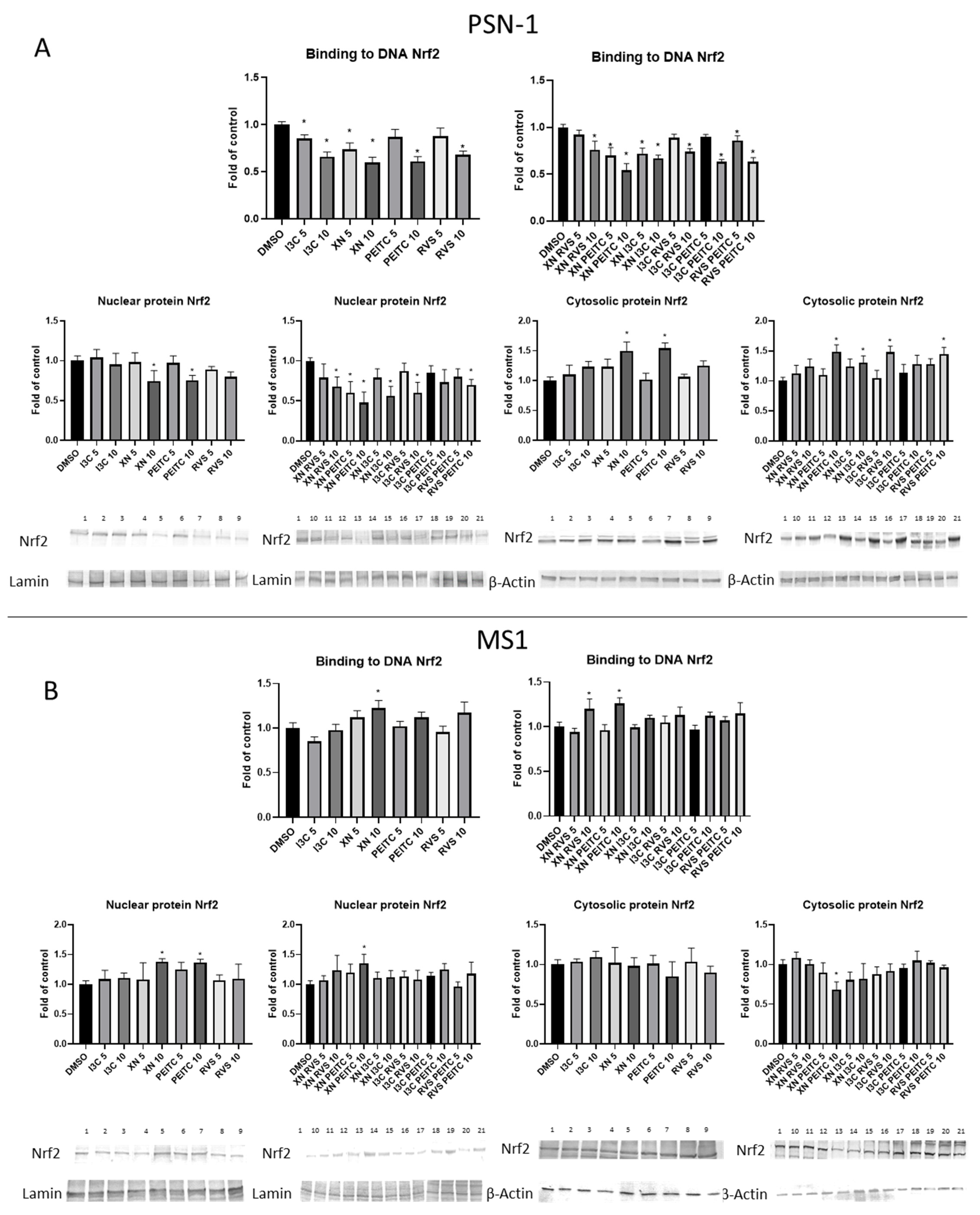Cells 10 03556 g004 550
