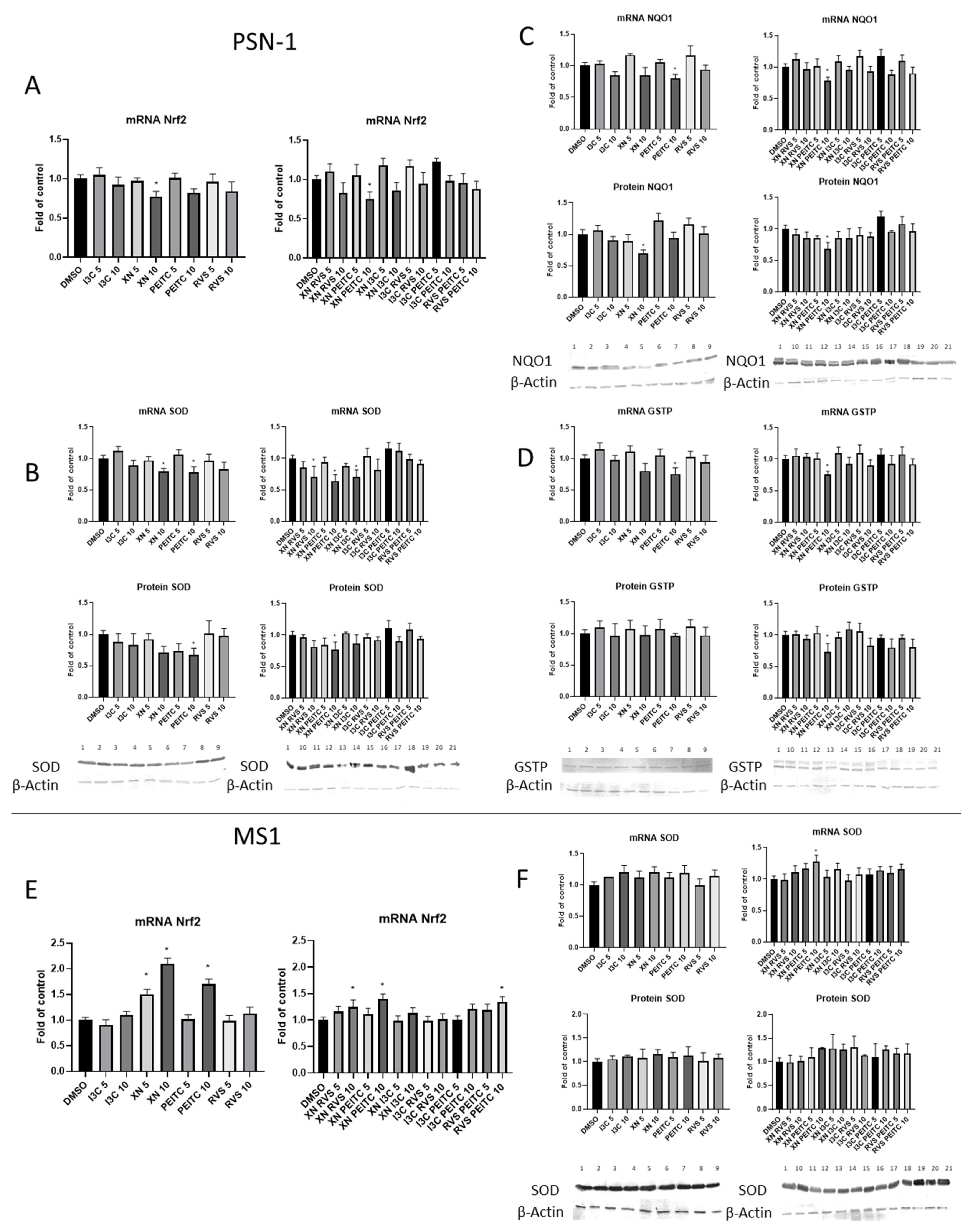 Cells 10 03556 g005 550