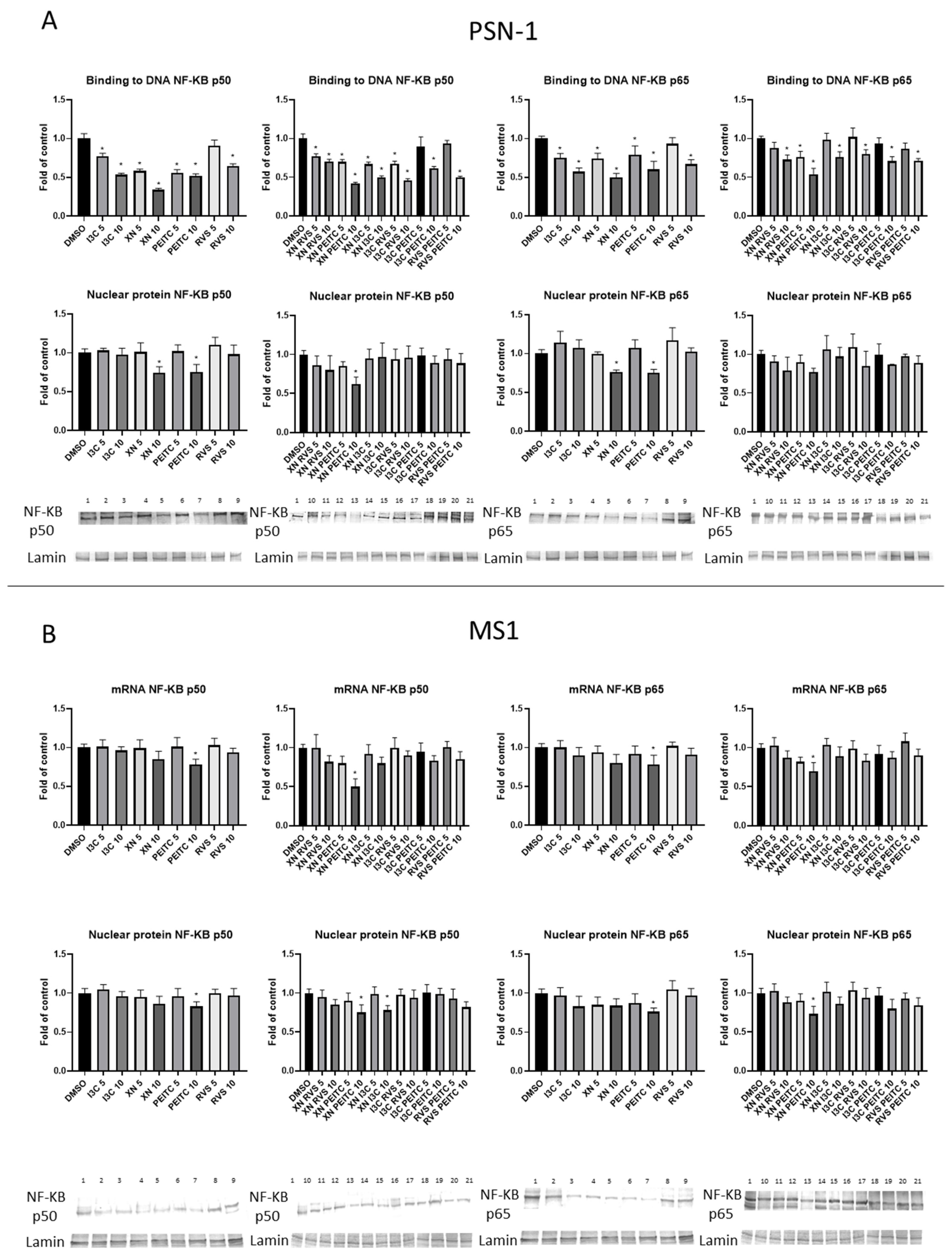 Cells 10 03556 g006 550