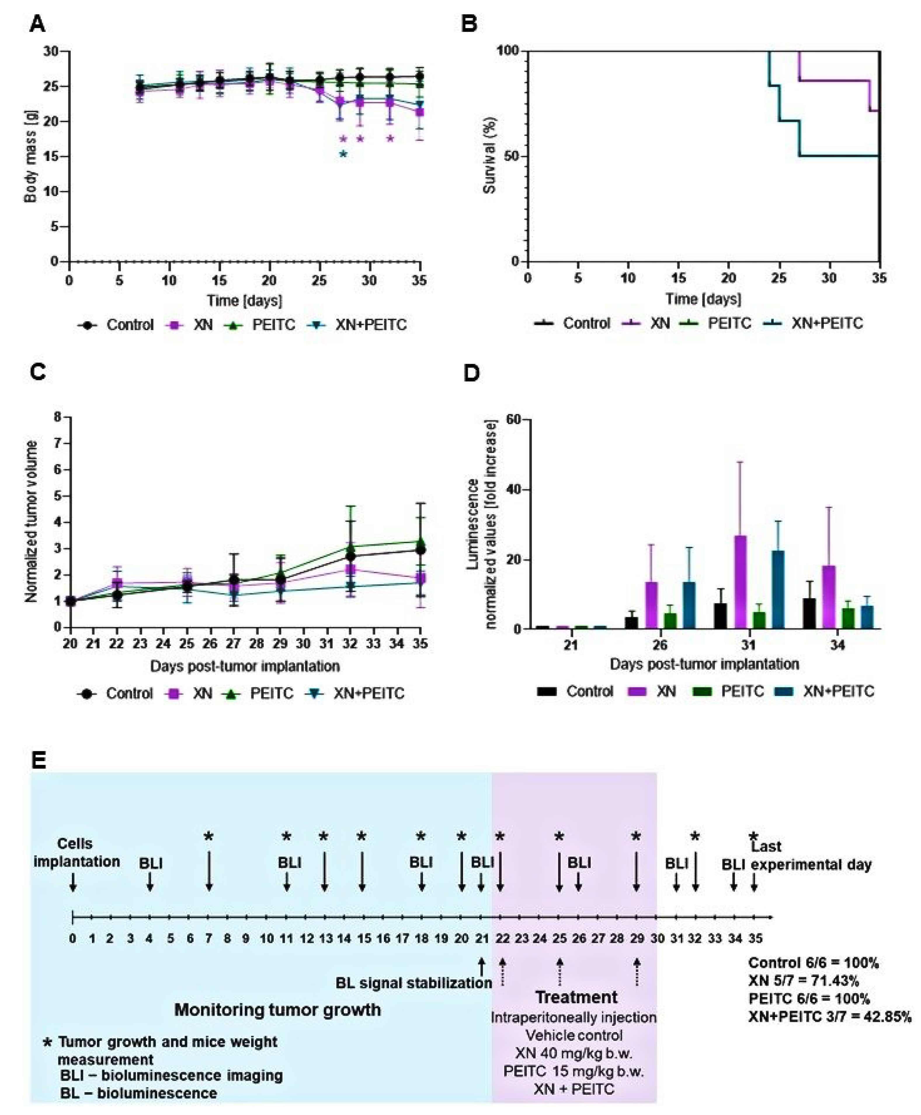 Cells 10 03556 g012 550