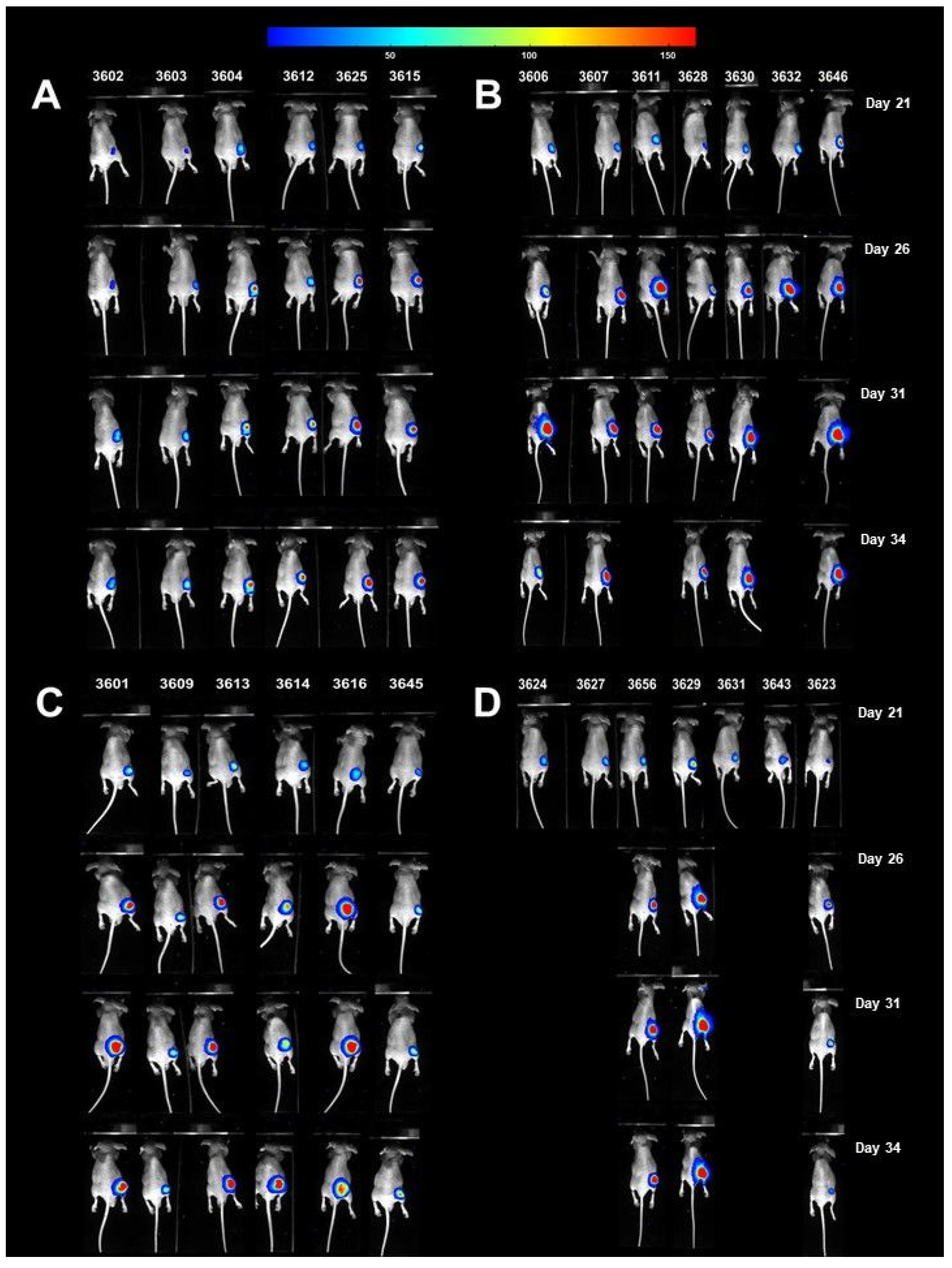 Cells 10 03556 g013 550