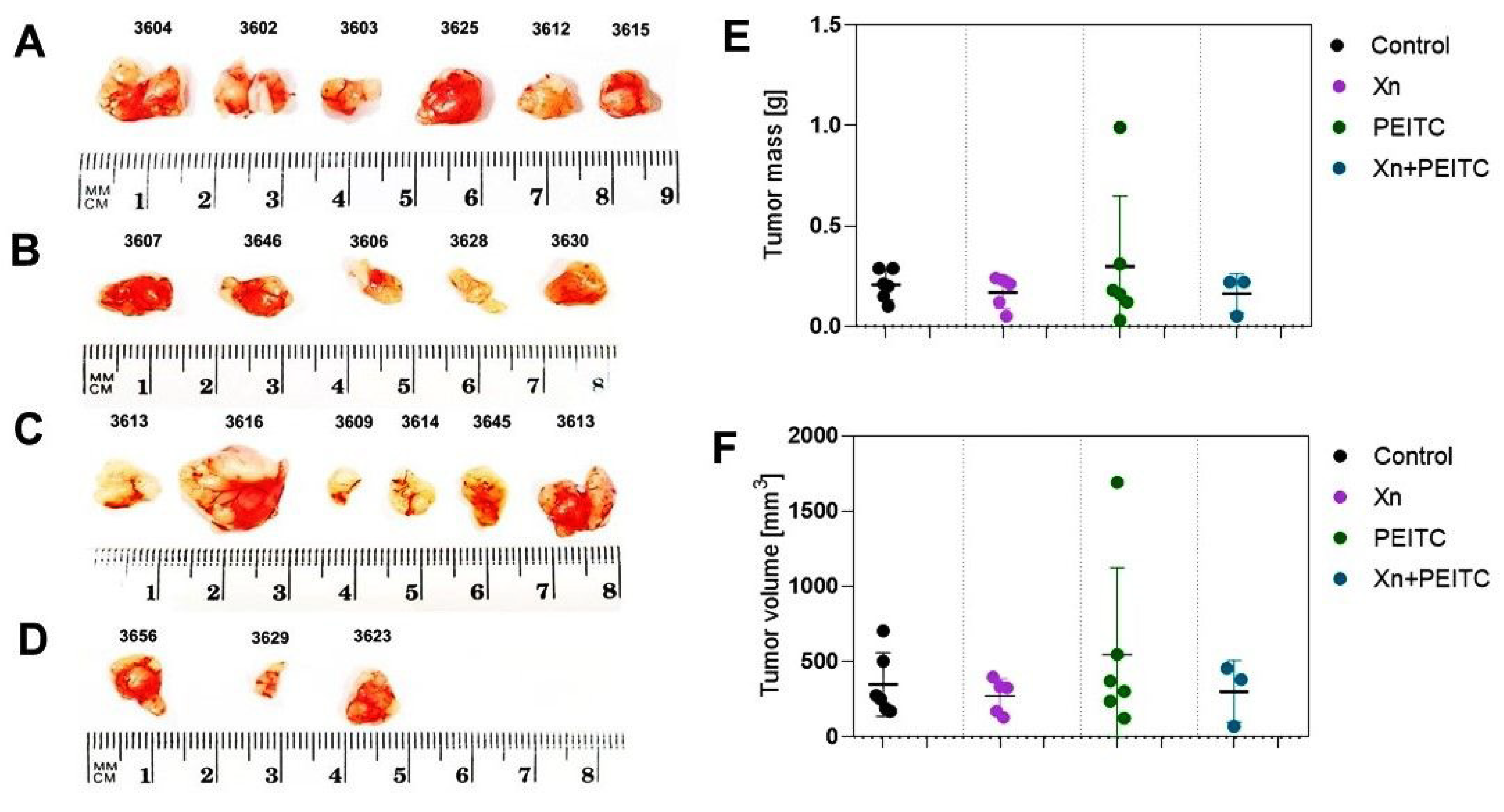 Cells 10 03556 g014 550