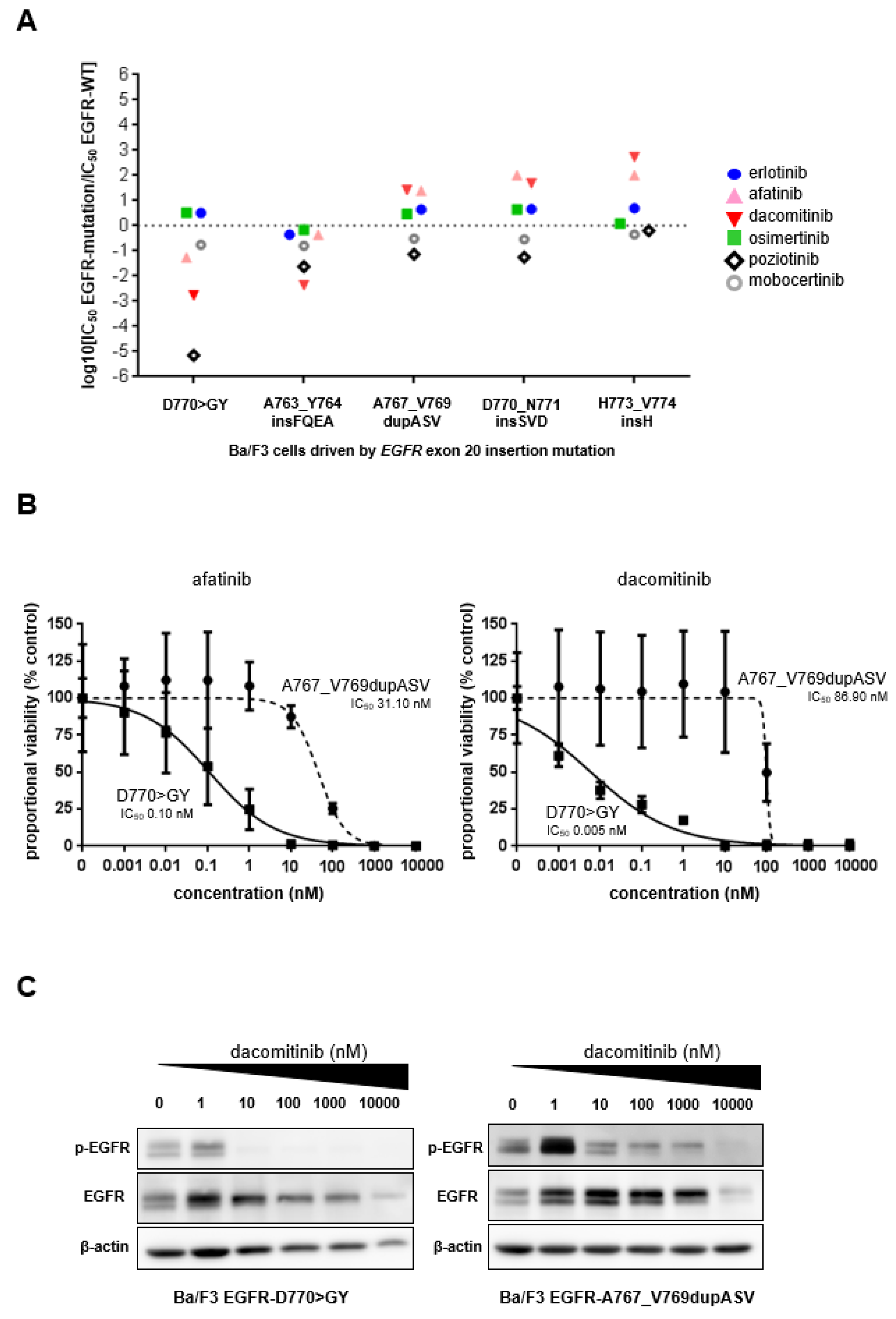 Cells 10 03561 g002 550