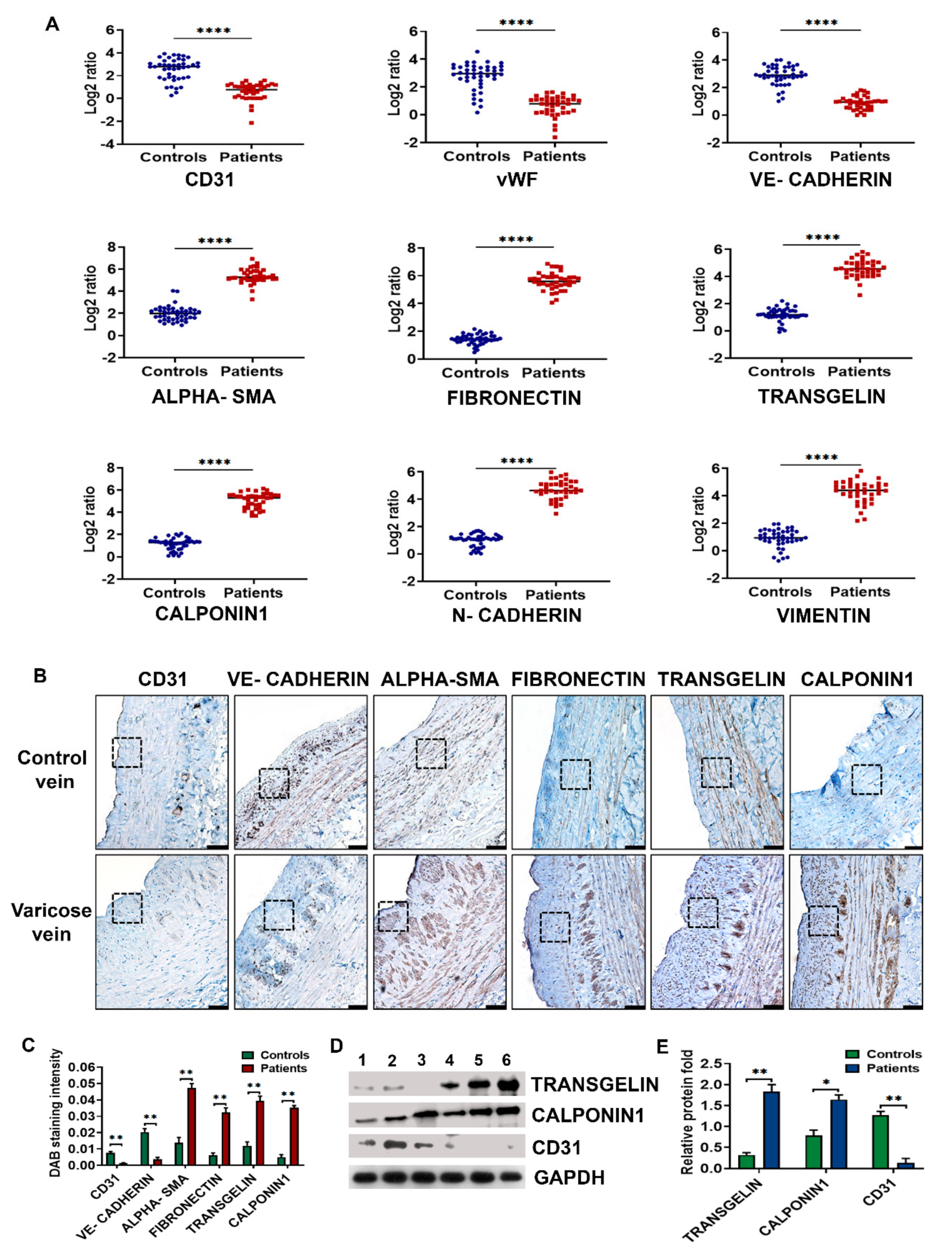 Cells 10 03563 g001 Cells 10 03563 g001