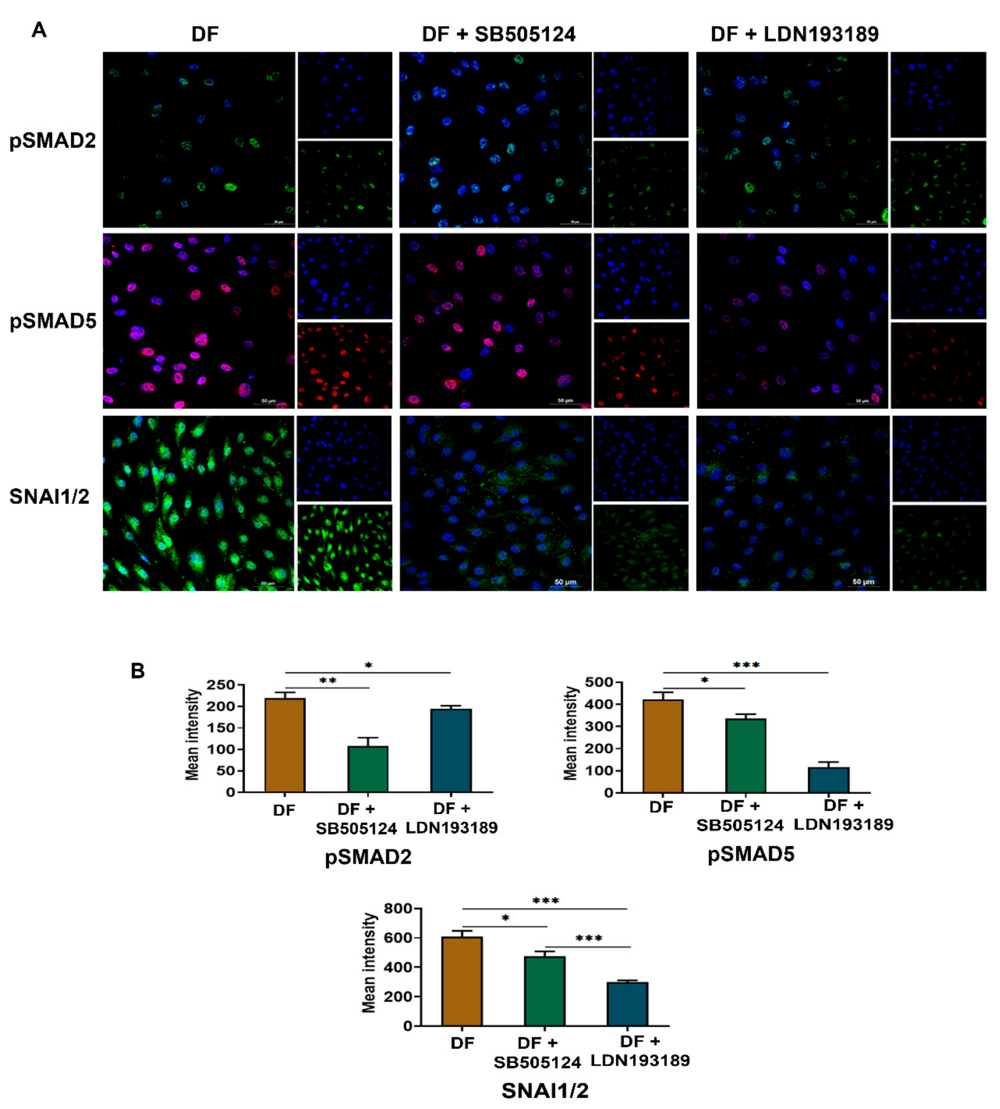 Cells 10 03563 g006 Cells 10 03563 g006