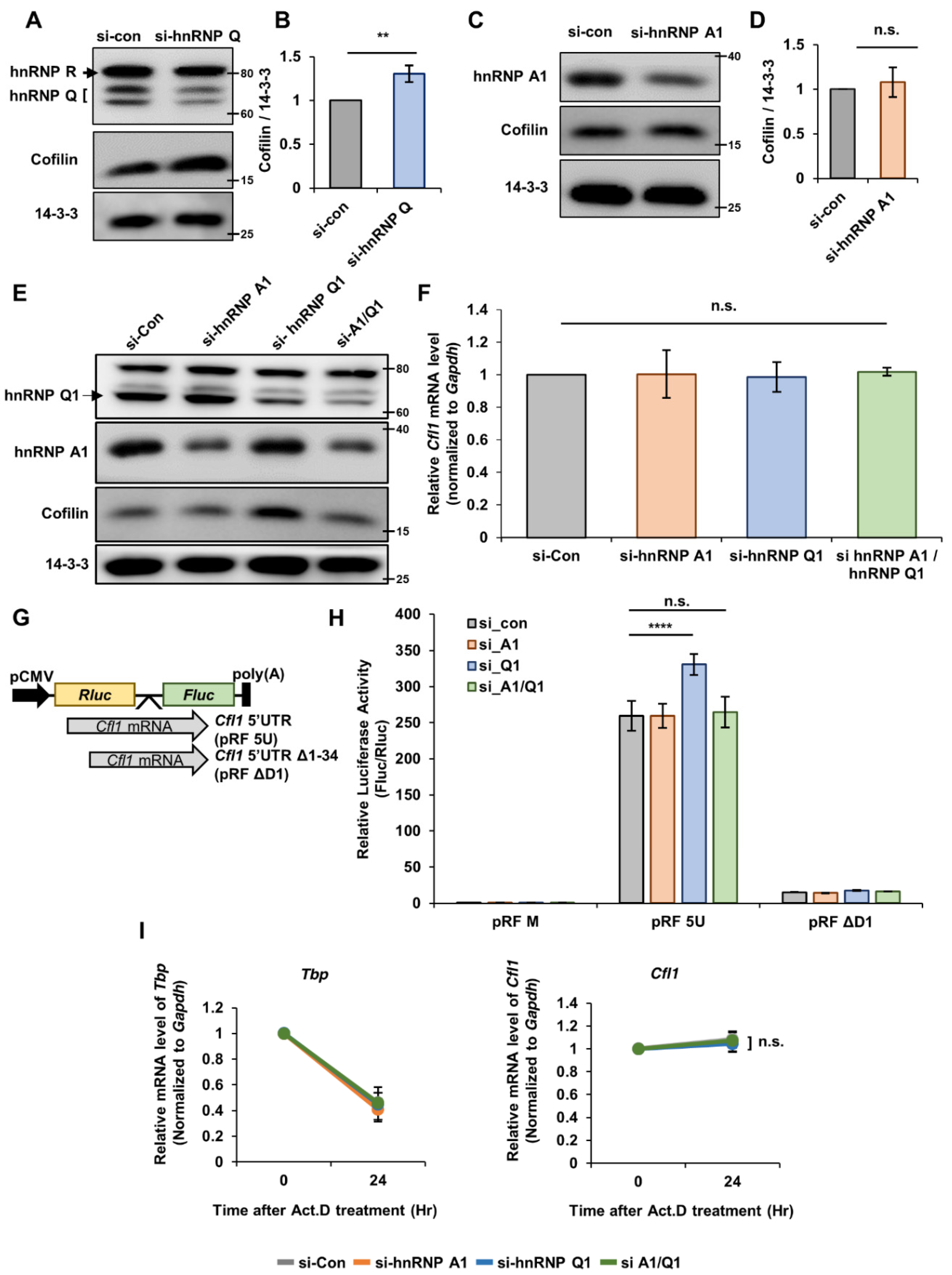 Cells 10 03567 g002 550