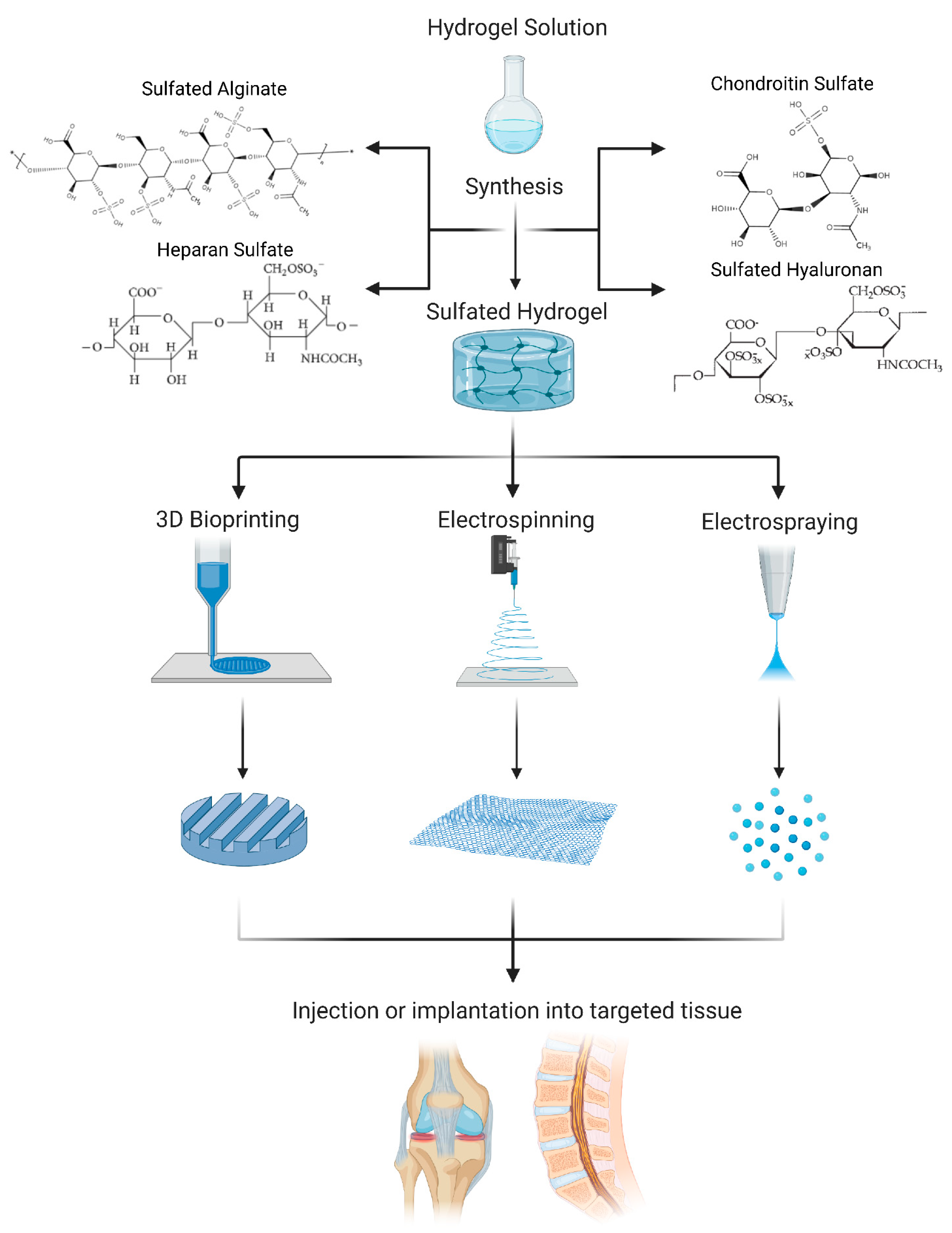 Cells 10 03568 g001 550