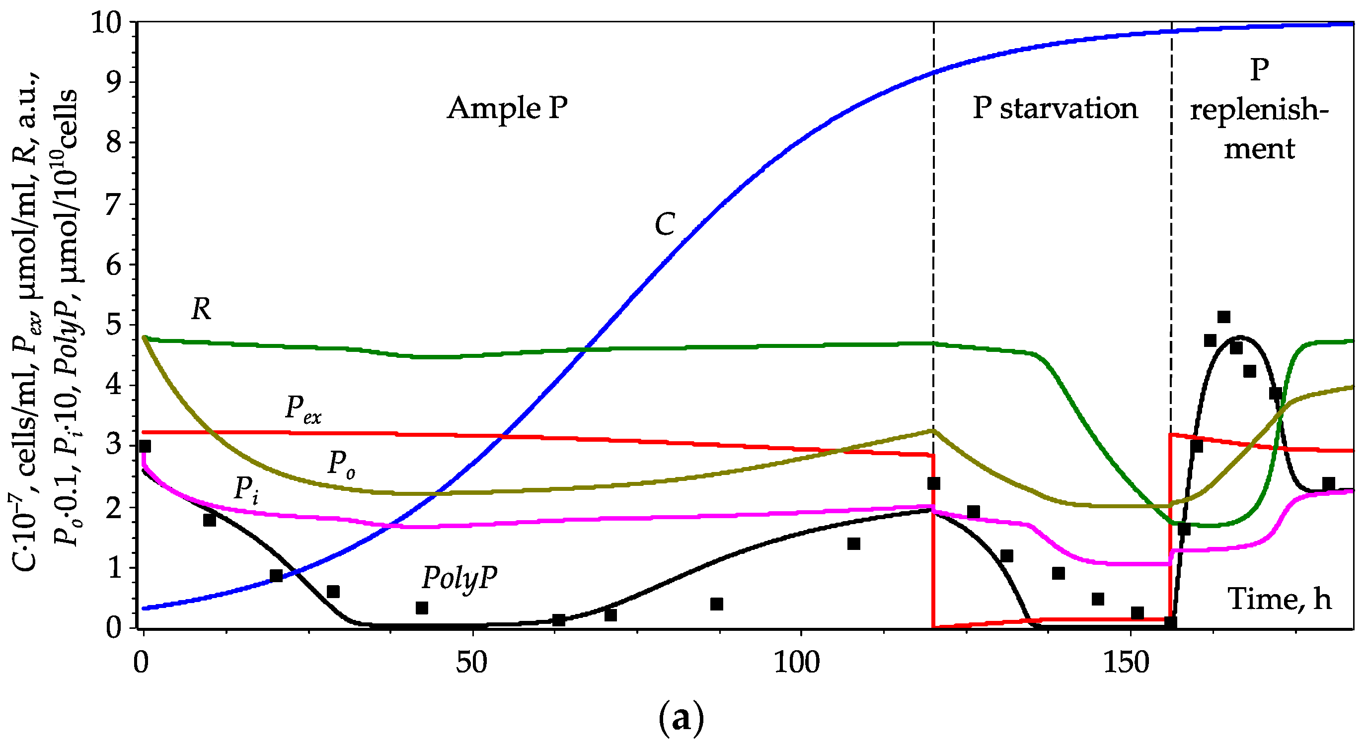 Cells 10 03571 g003a