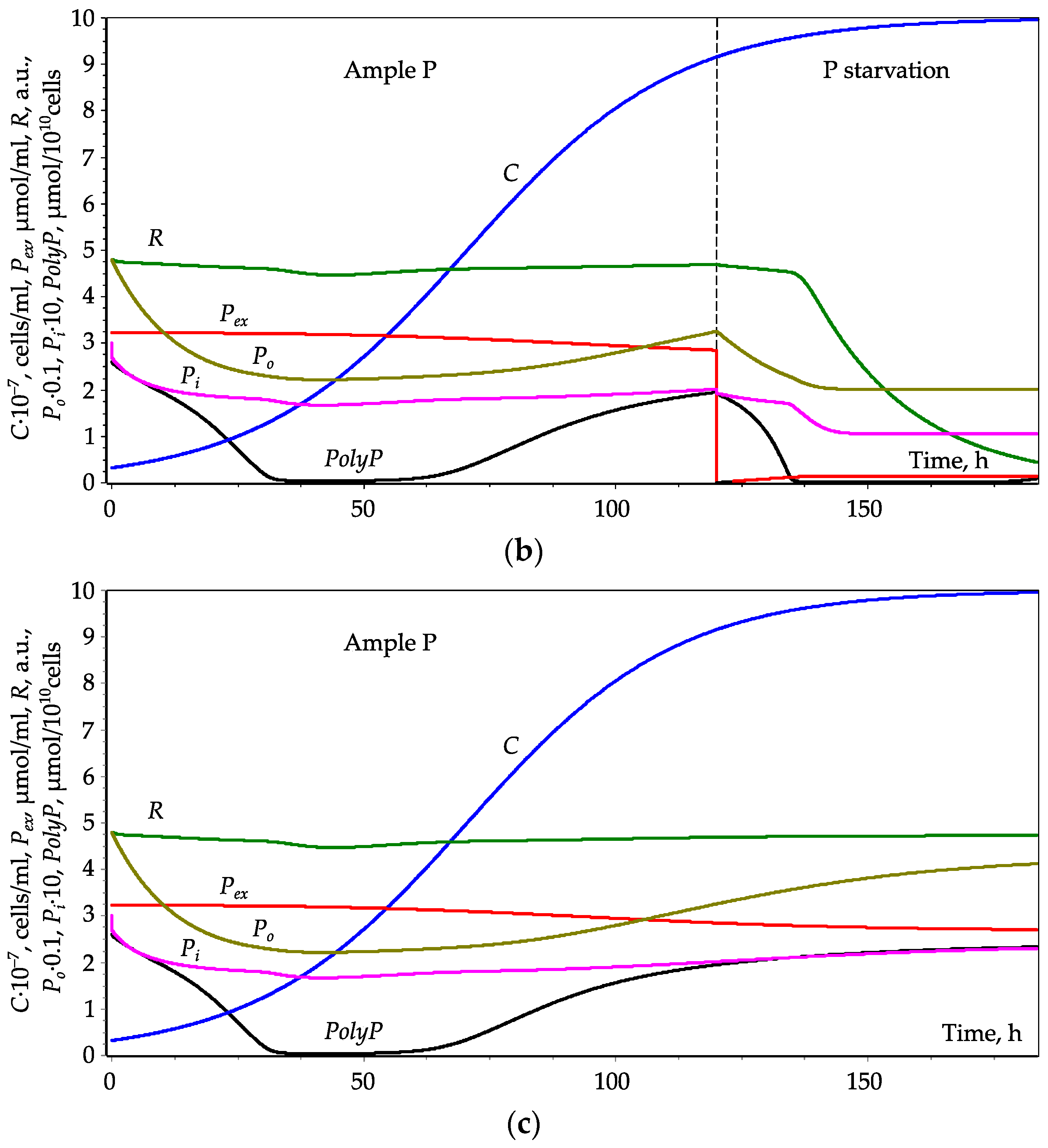 Cells 10 03571 g003b