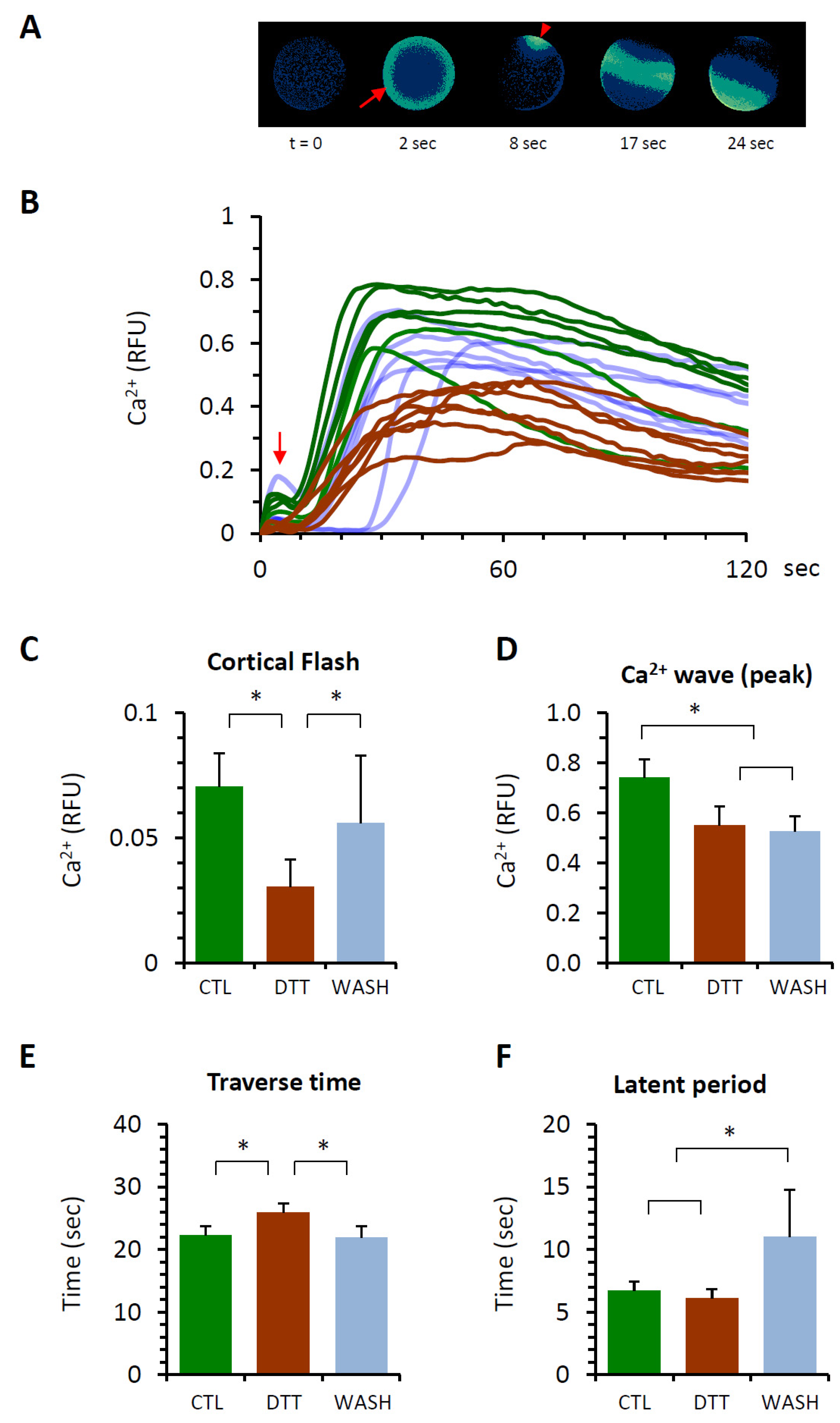 Cells 10 03573 g004 Cells 10 03573 g004