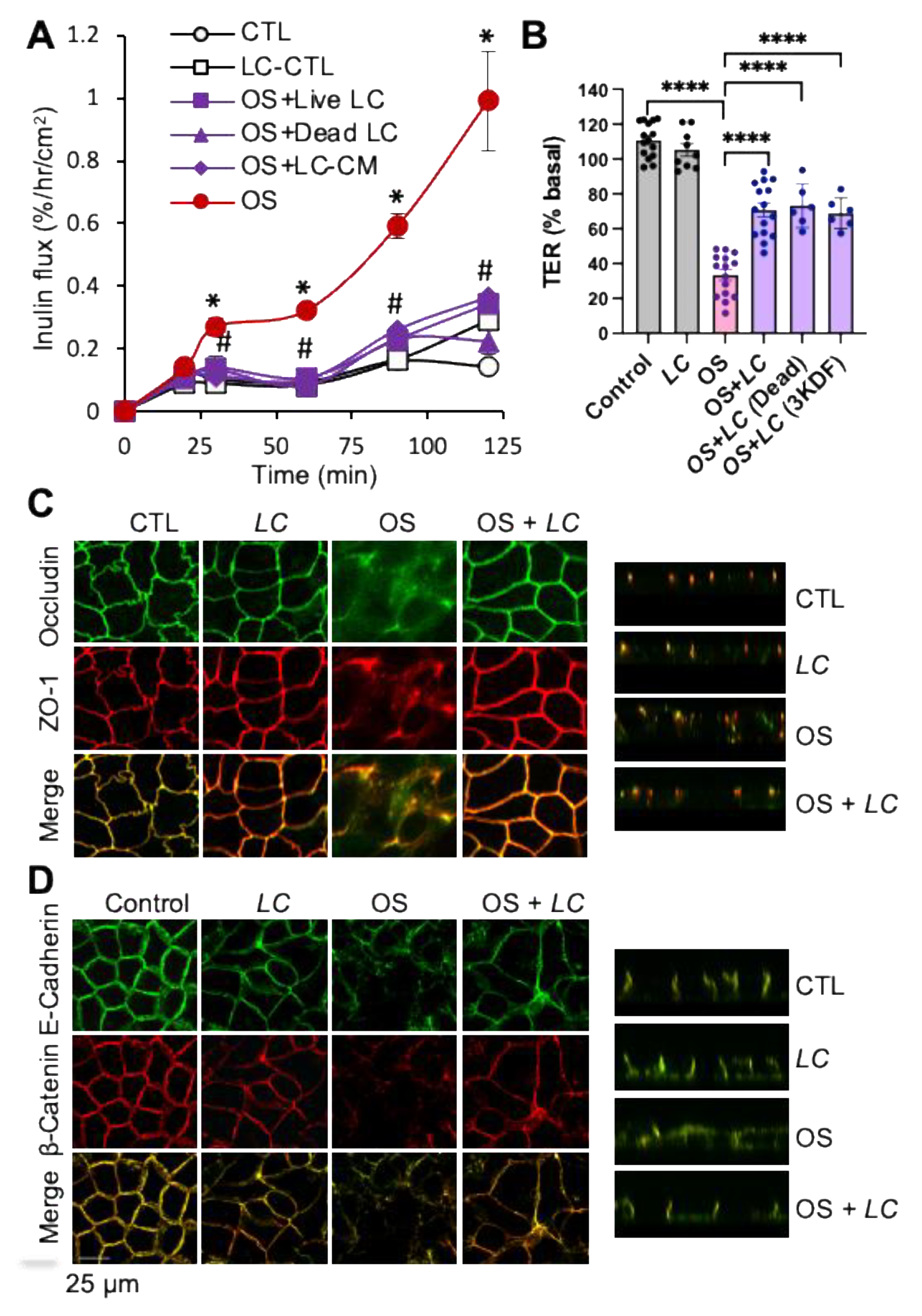 Cells 10 03578 g001 Cells 10 03578 g001