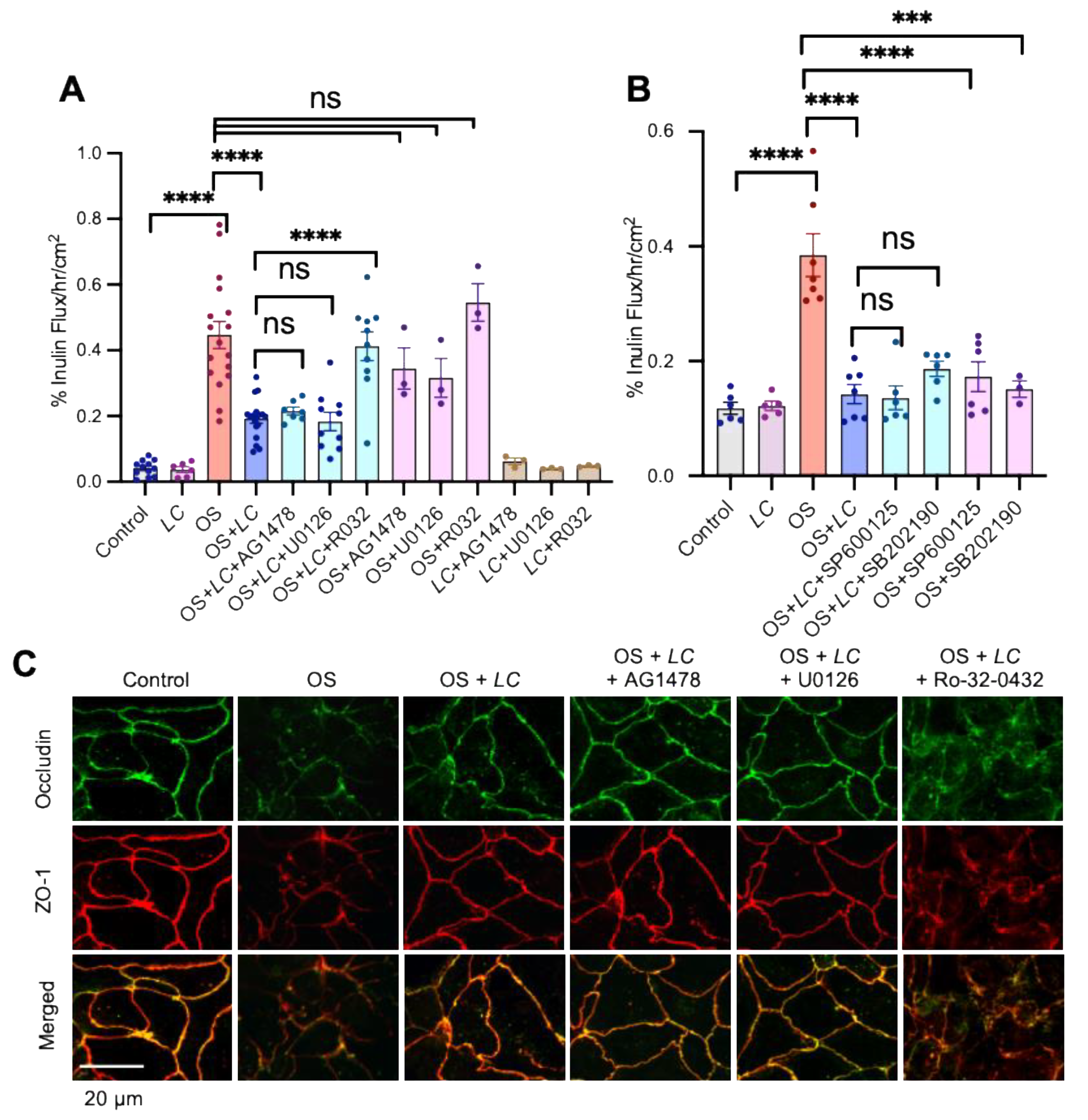 Cells 10 03578 g006 Cells 10 03578 g006