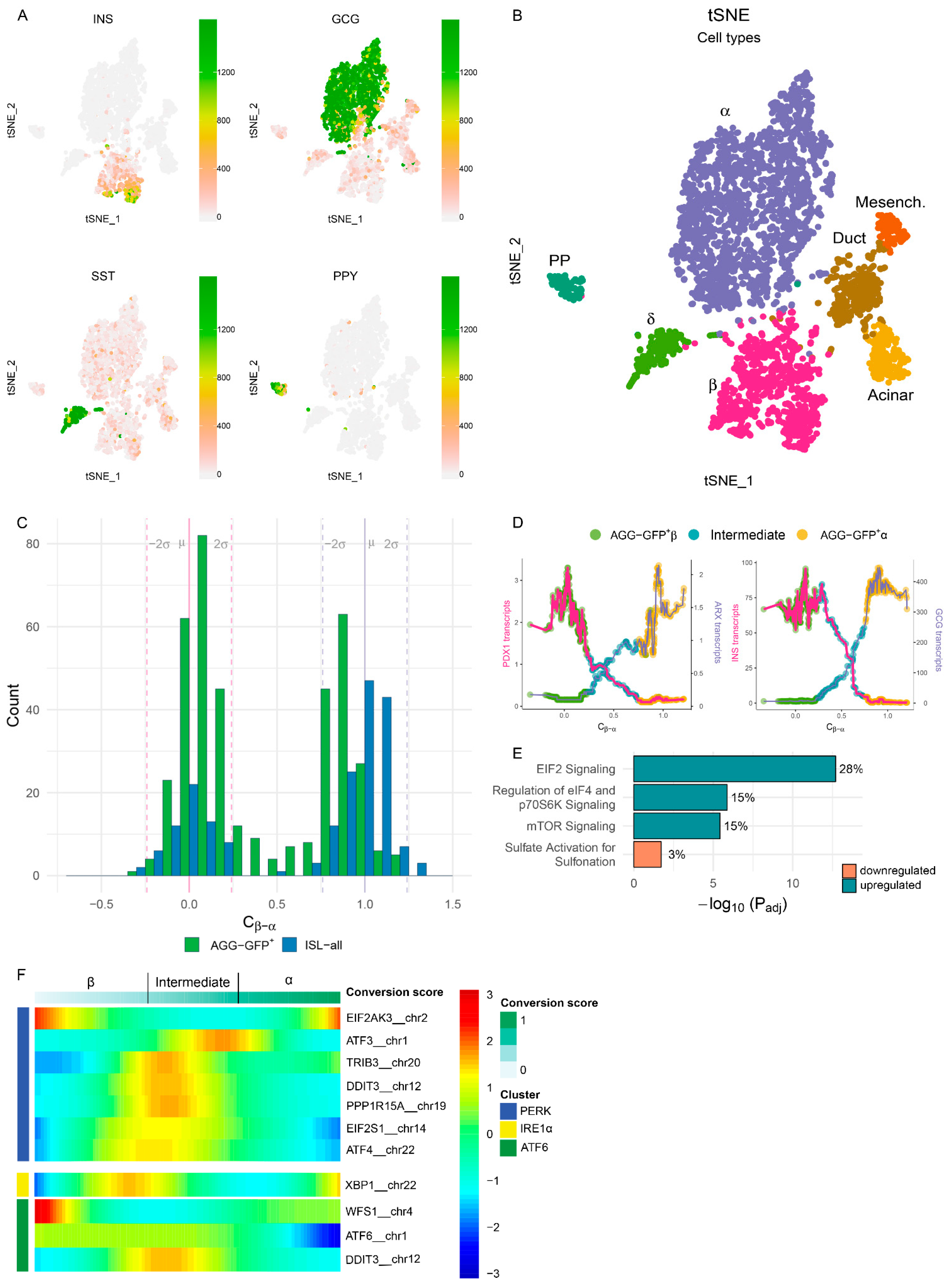 Cells 10 03585 g001 550