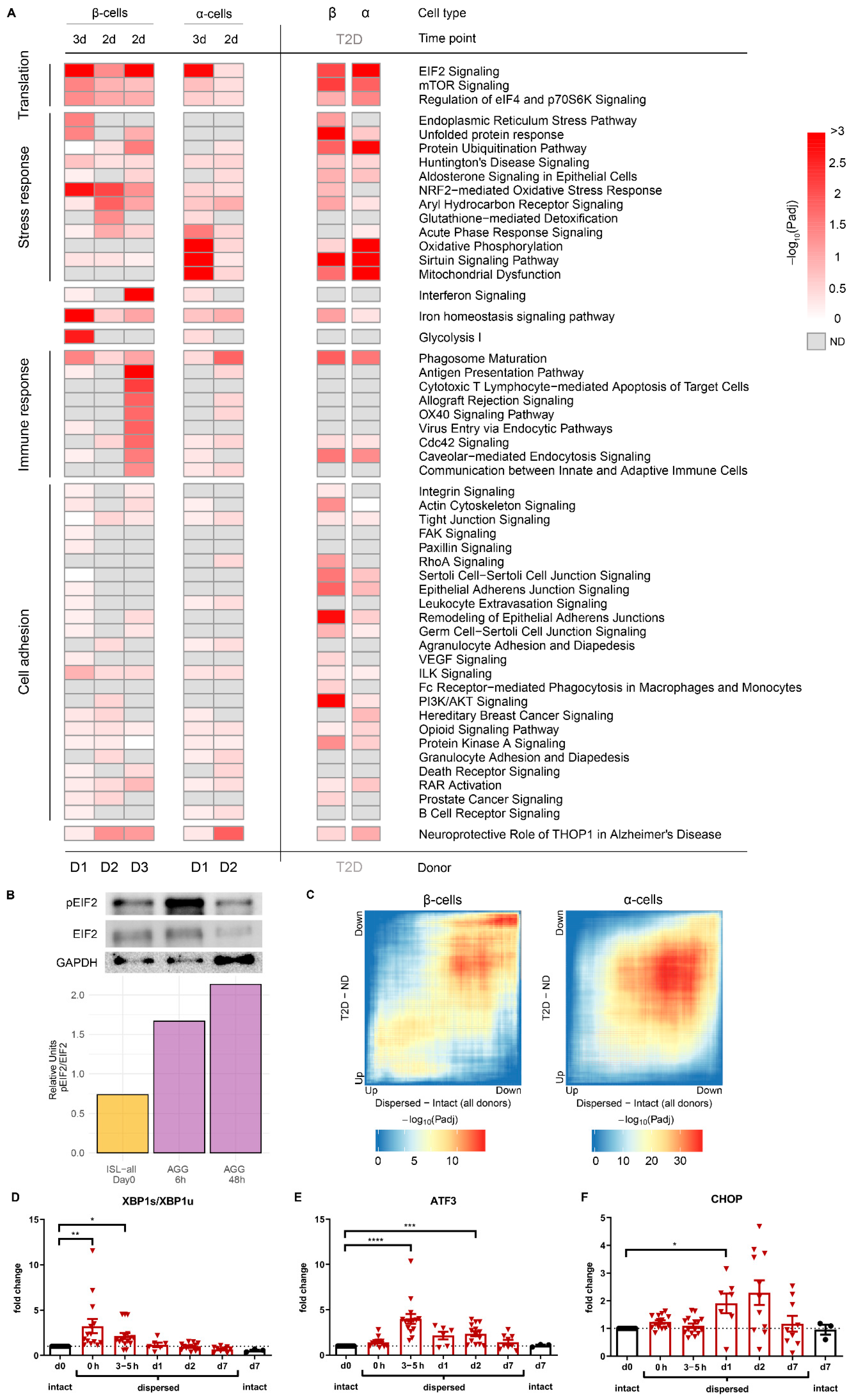 Cells 10 03585 g002 550