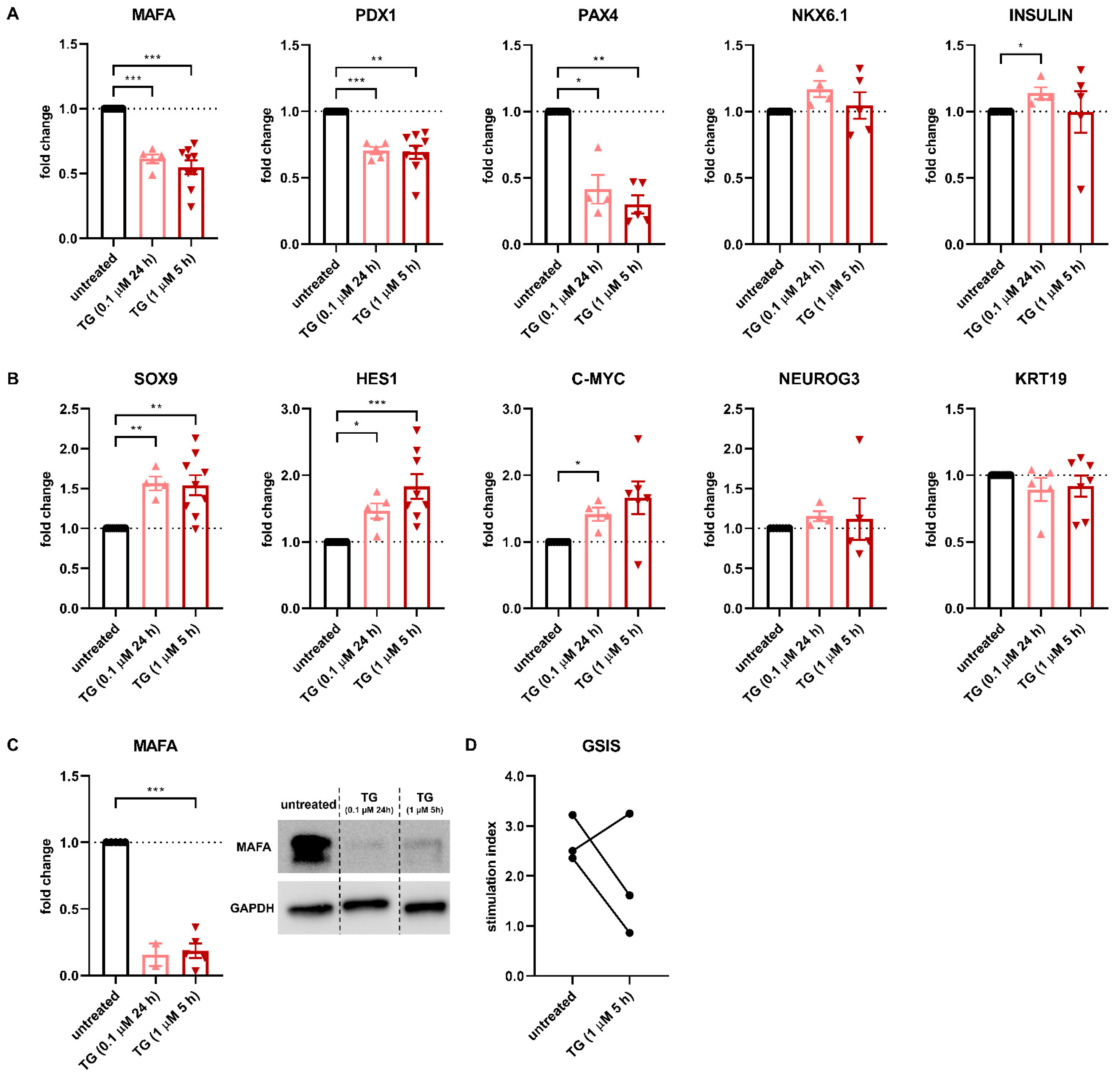 Cells 10 03585 g003 550