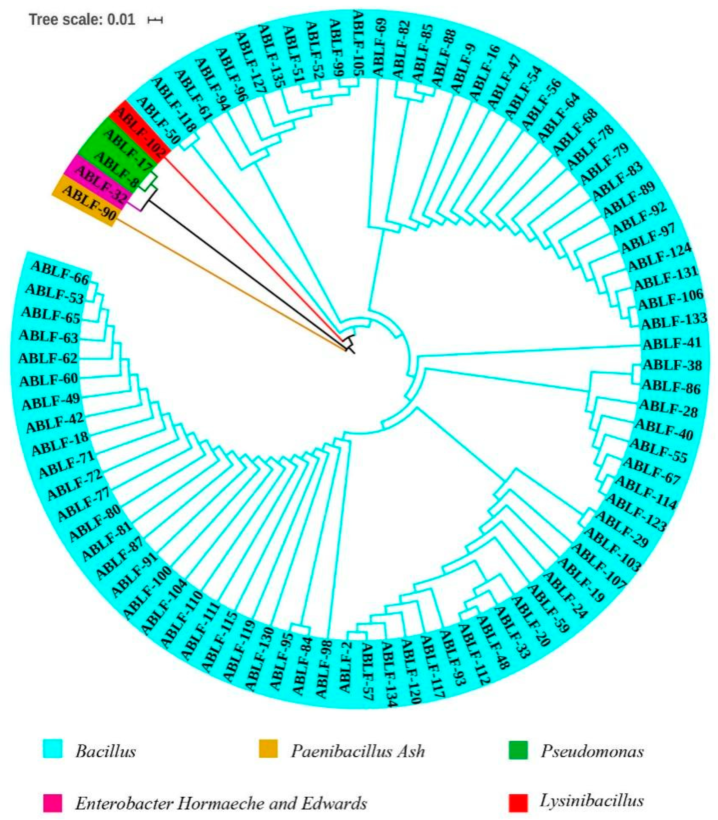 Cells 10 03588 g001 550