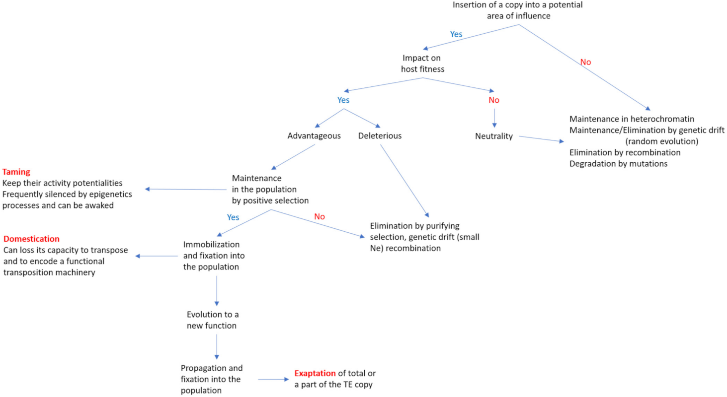 Cells 10 03590 g002 Cells 10 03590 g002