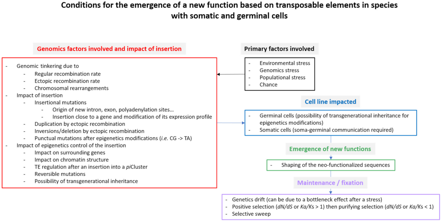 Cells 10 03590 g003 Cells 10 03590 g003