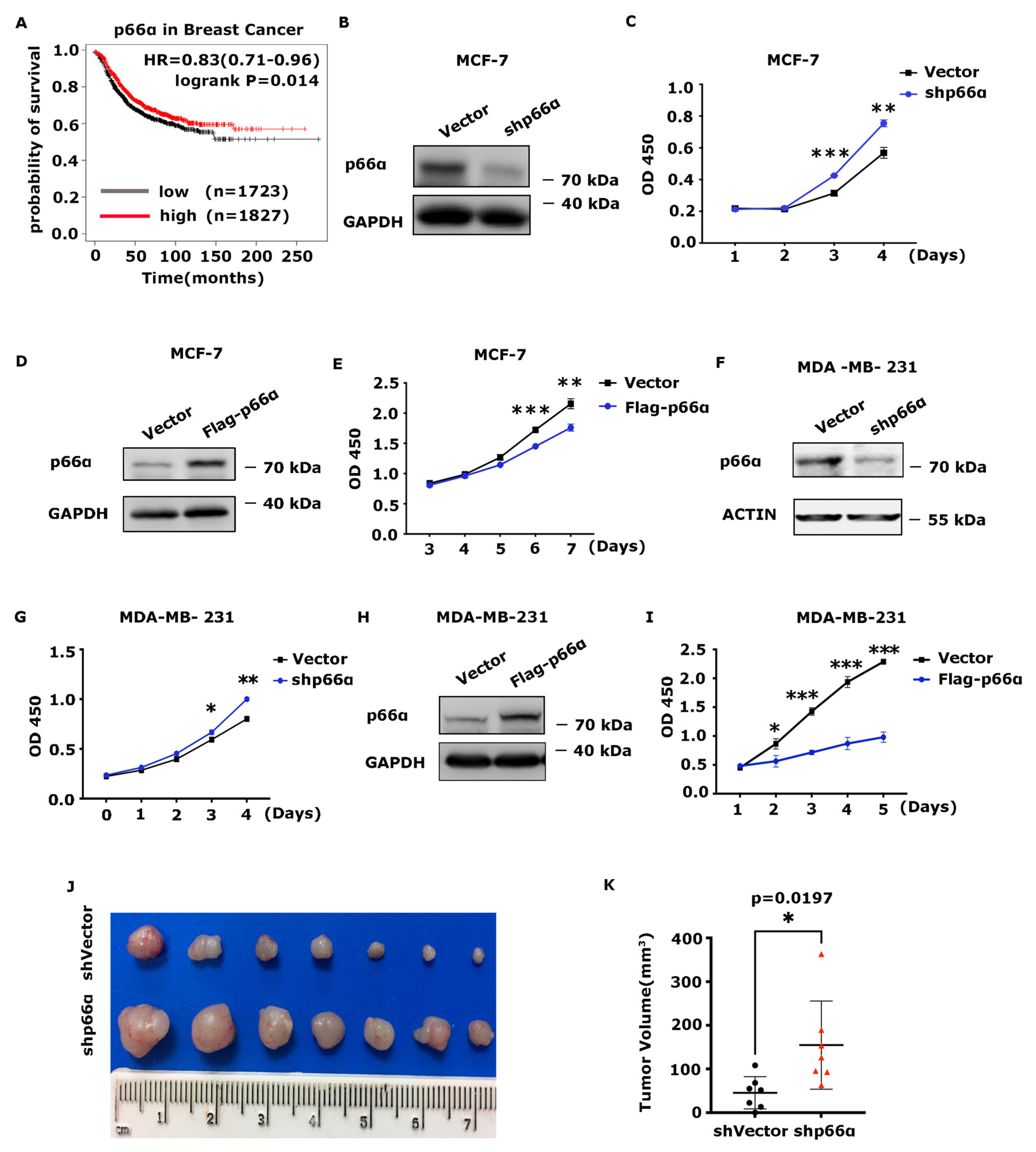 Cells 10 03593 g001 Cells 10 03593 g001