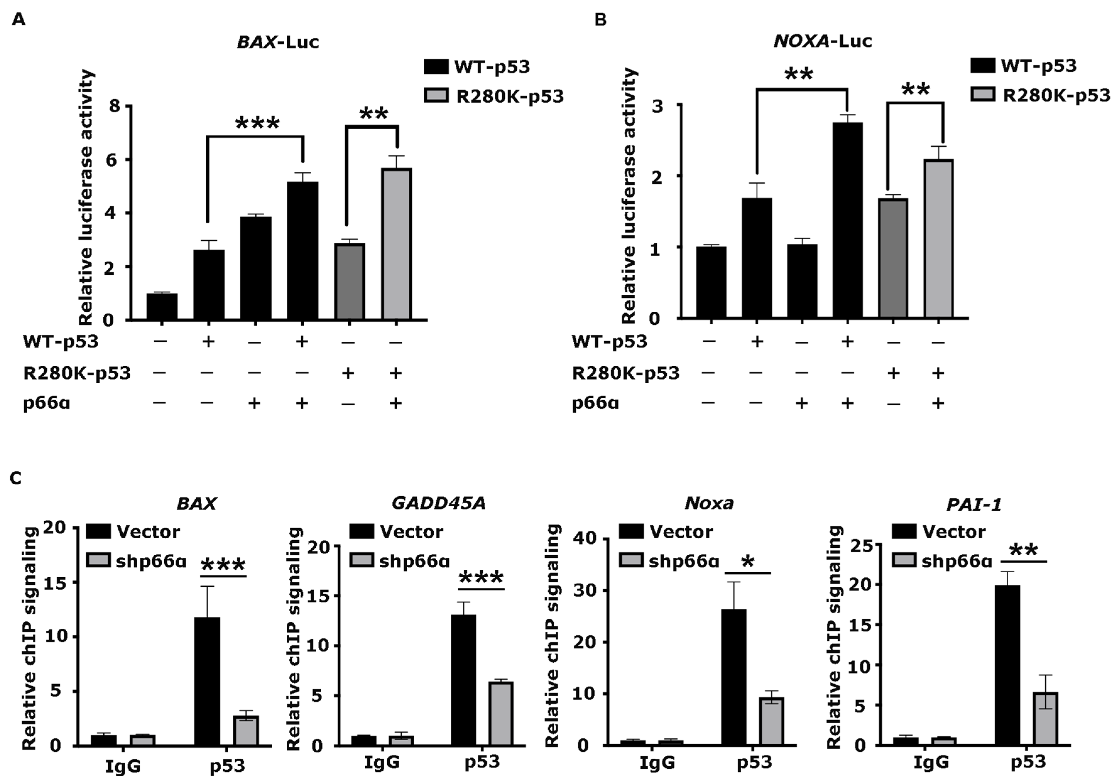 Cells 10 03593 g005 Cells 10 03593 g005