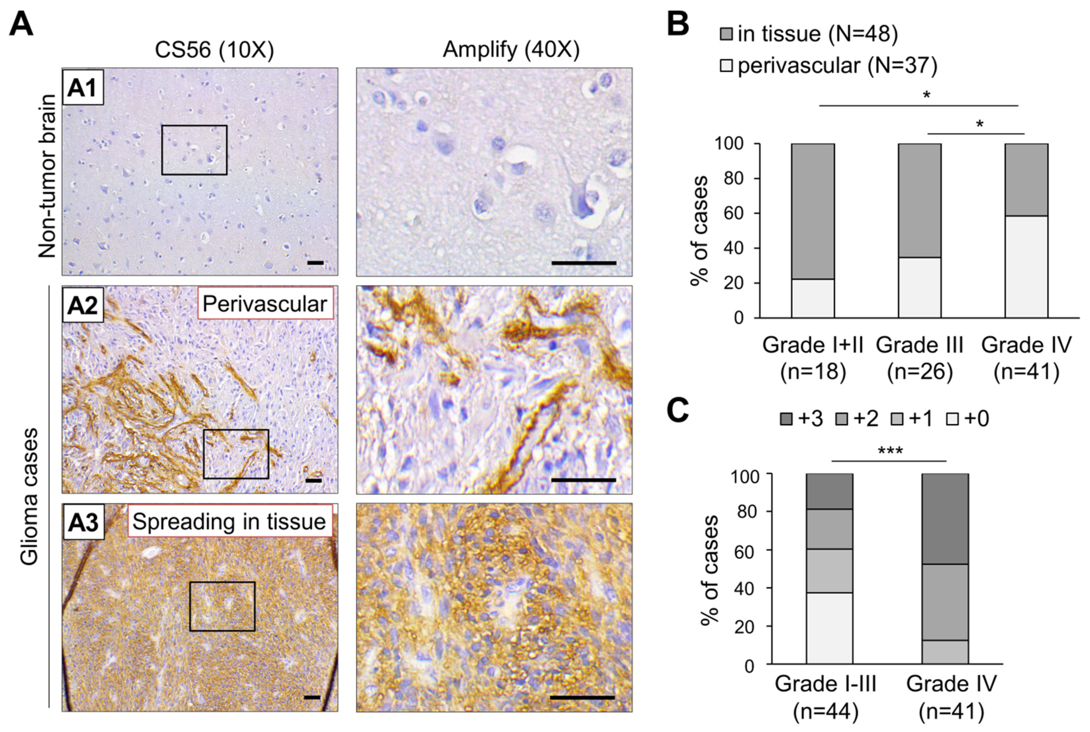 Cells 10 03594 g001 Cells 10 03594 g001