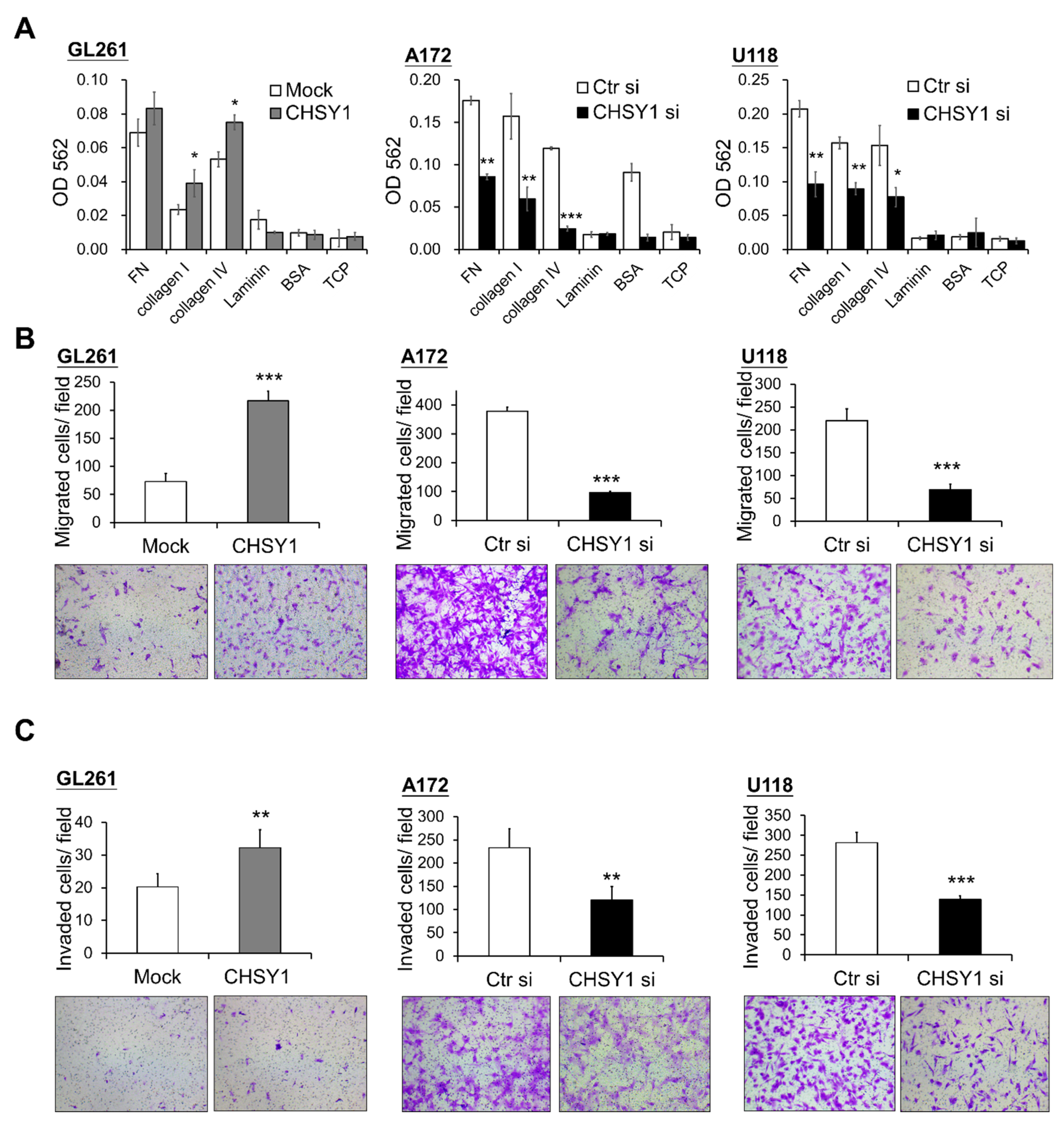 Cells 10 03594 g003 Cells 10 03594 g003