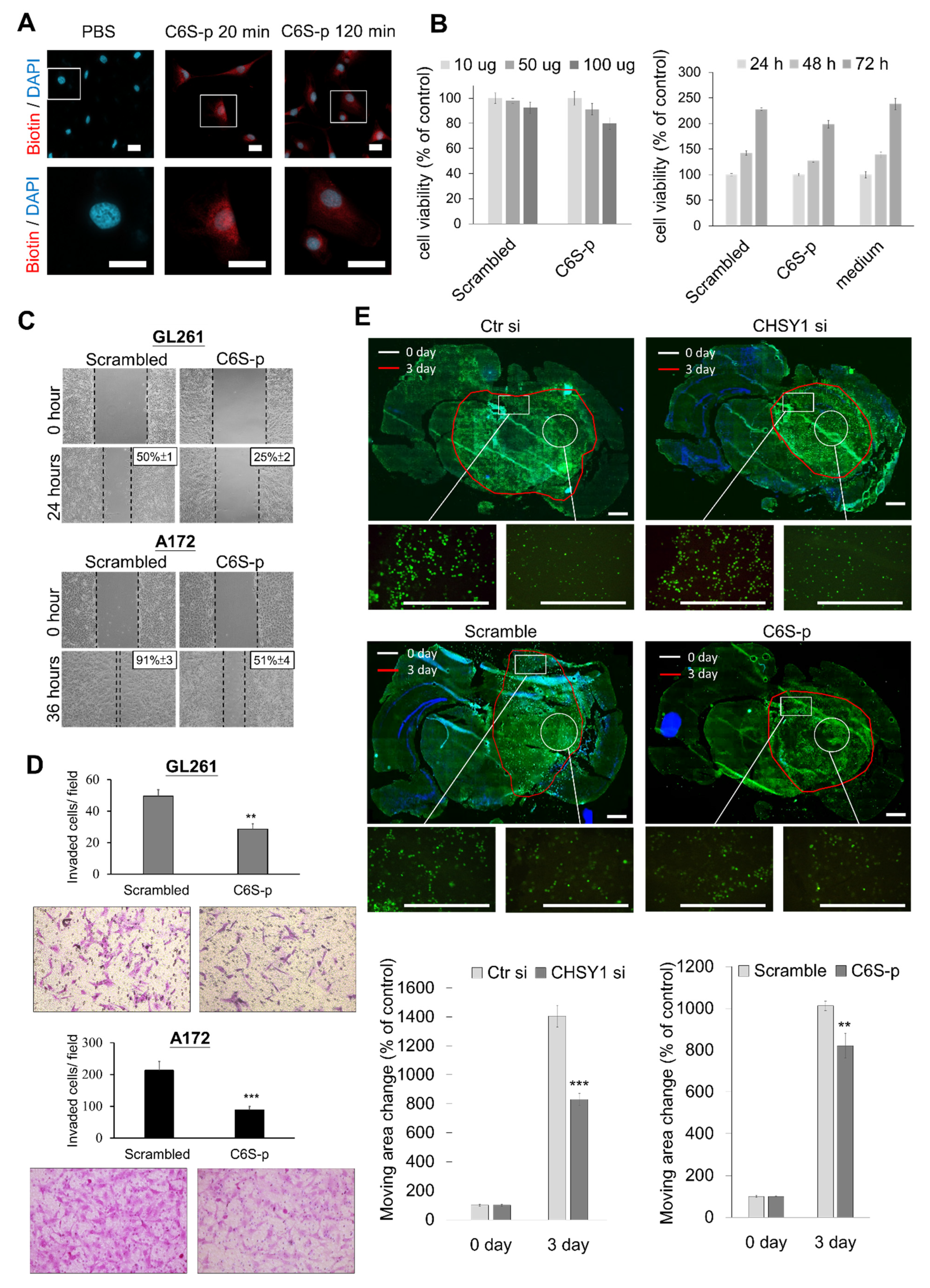 Cells 10 03594 g005 Cells 10 03594 g005