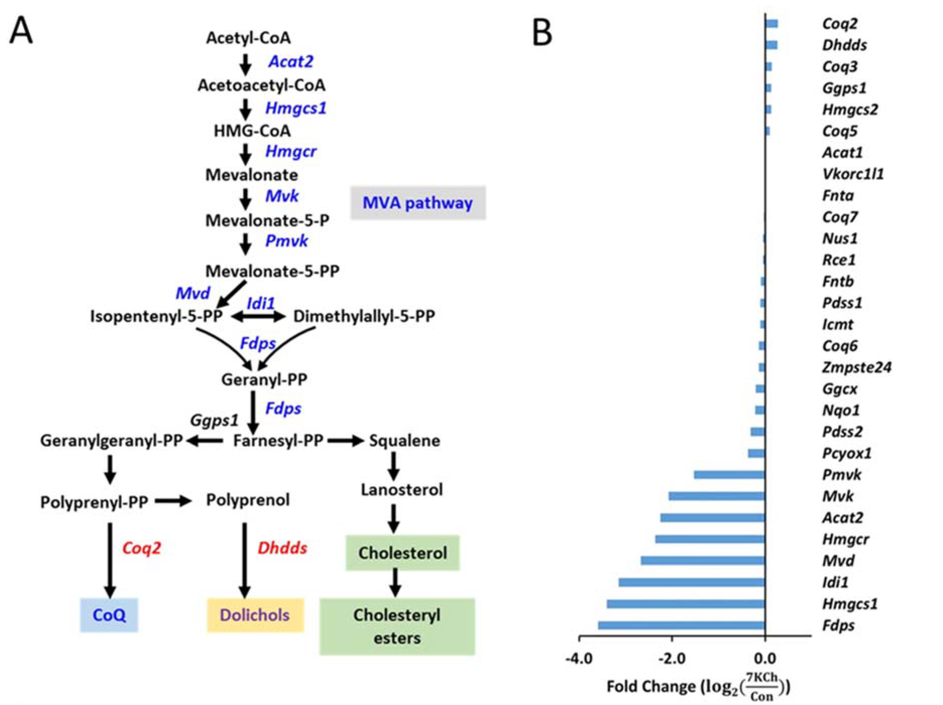 Cells 10 03597 g004a