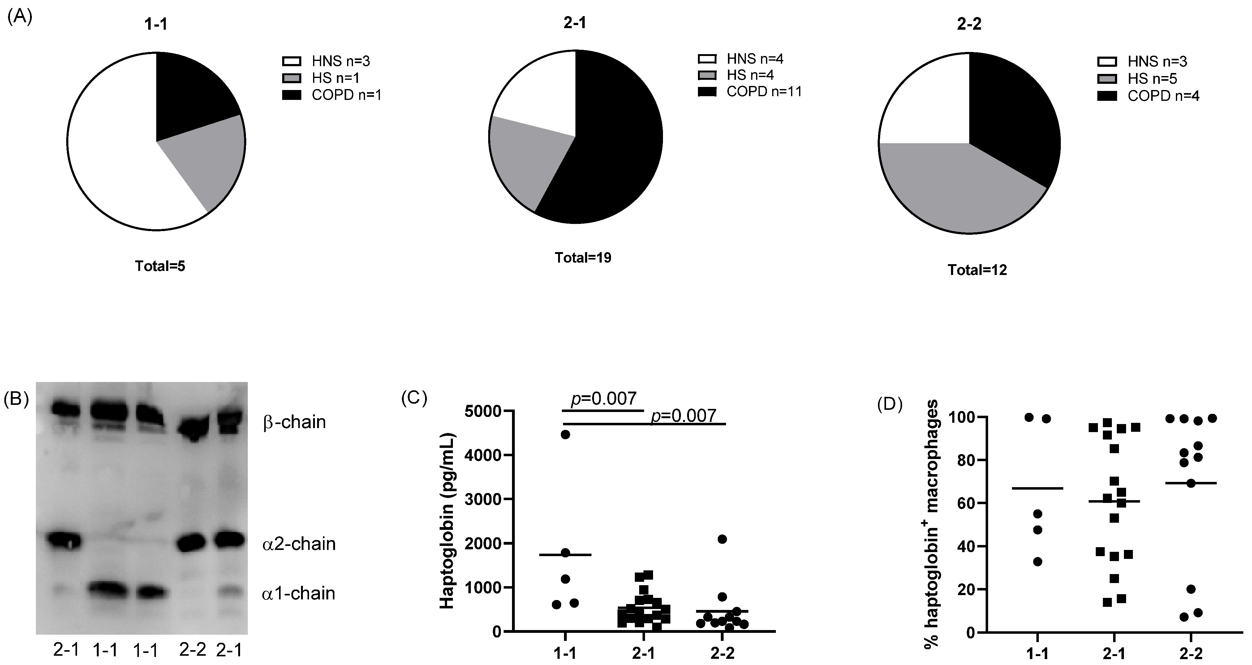 Cells 11 00002 g004 Cells 11 00002 g004