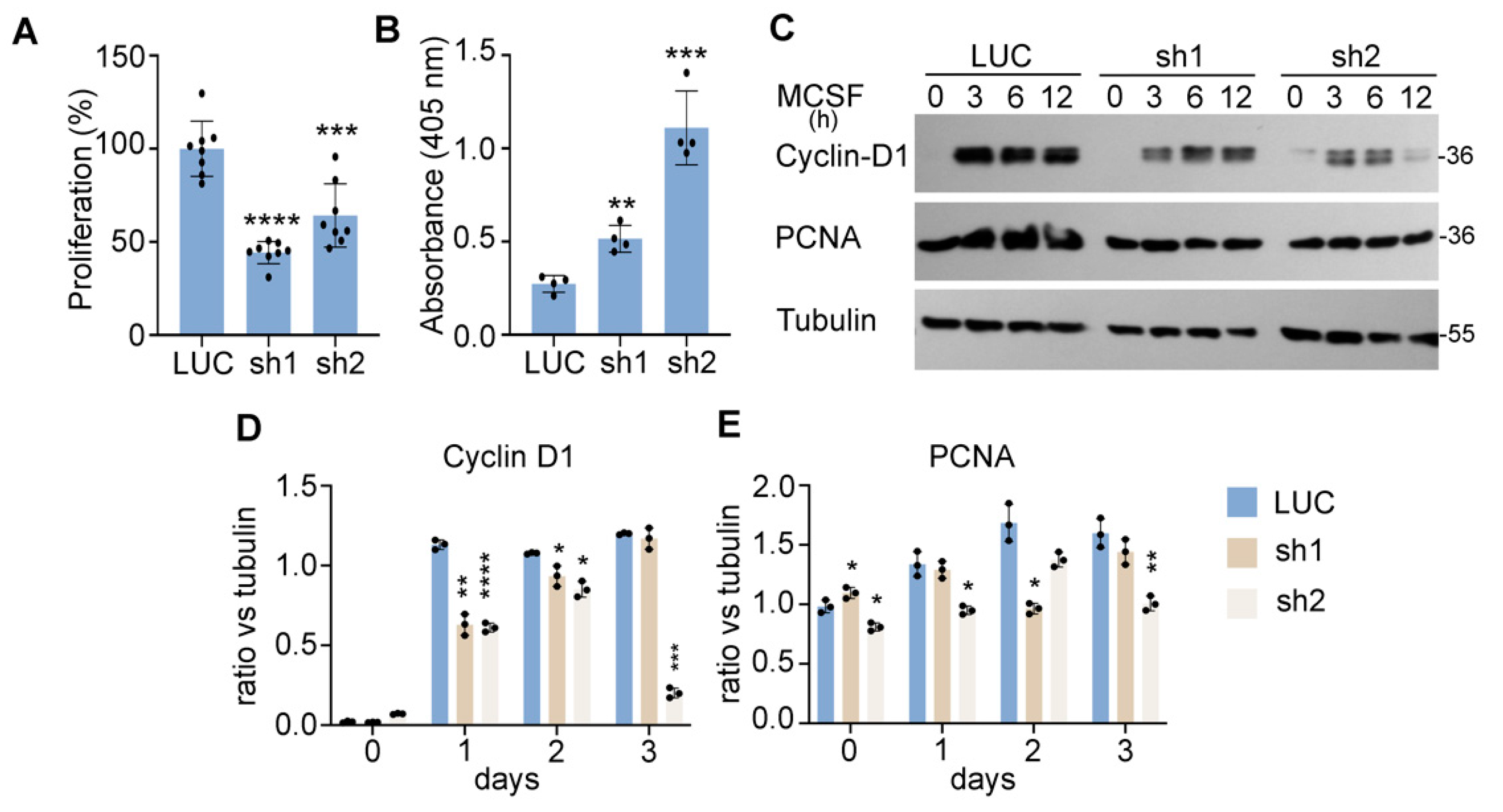 Cells 11 00013 g003 Cells 11 00013 g003