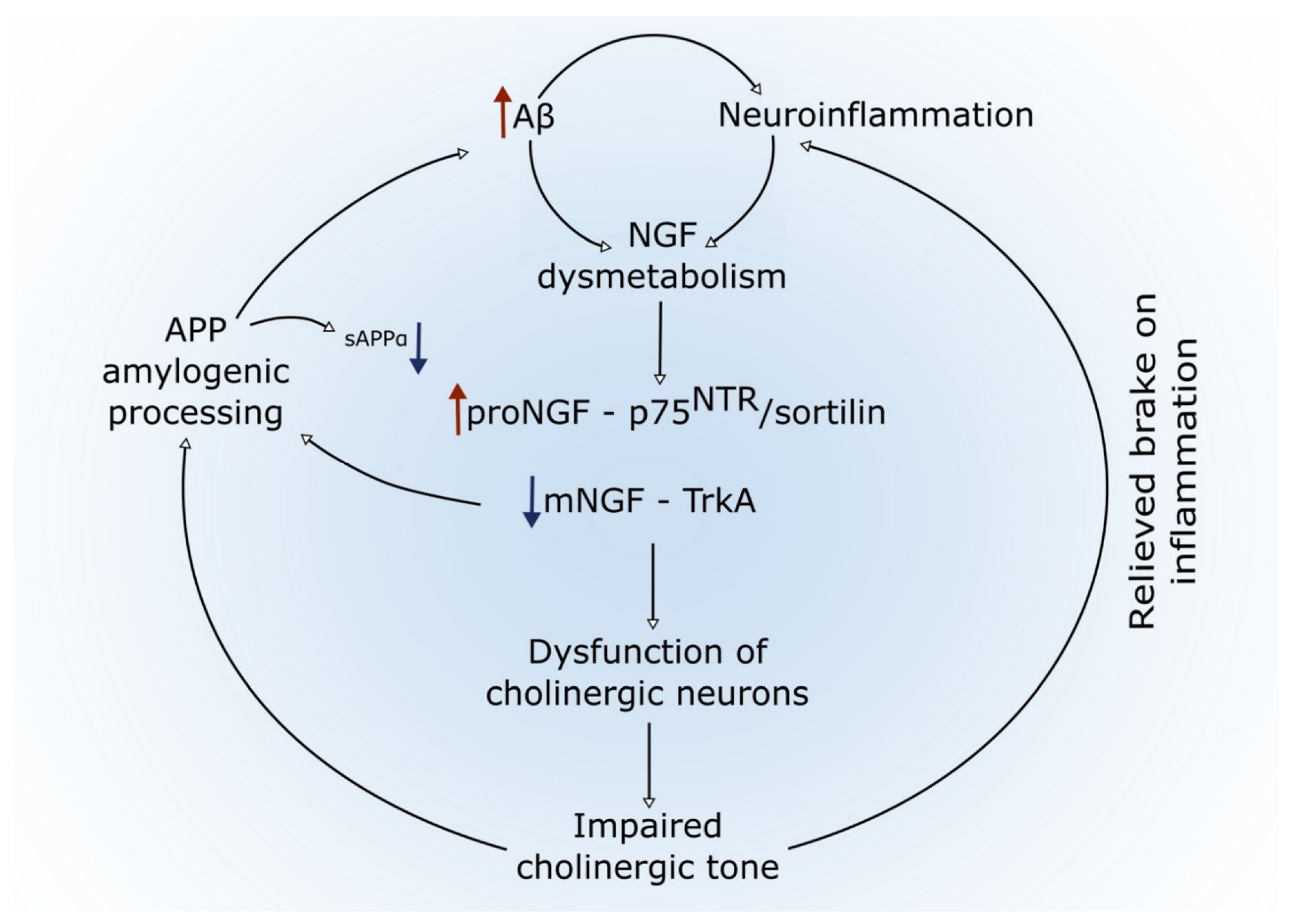 Cells 11 00016 g002 Cells 11 00016 g002
