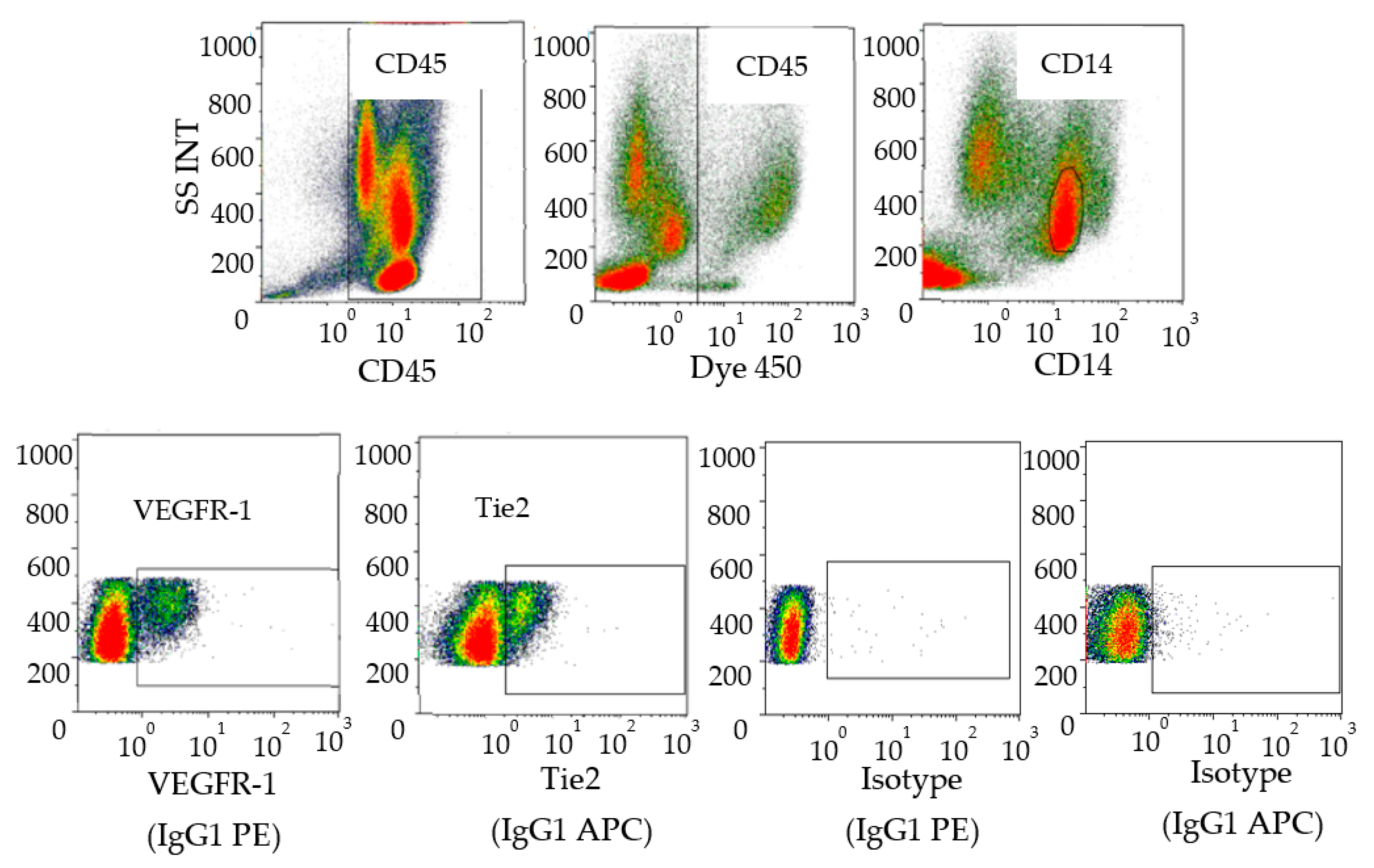 Cells 11 00017 g002