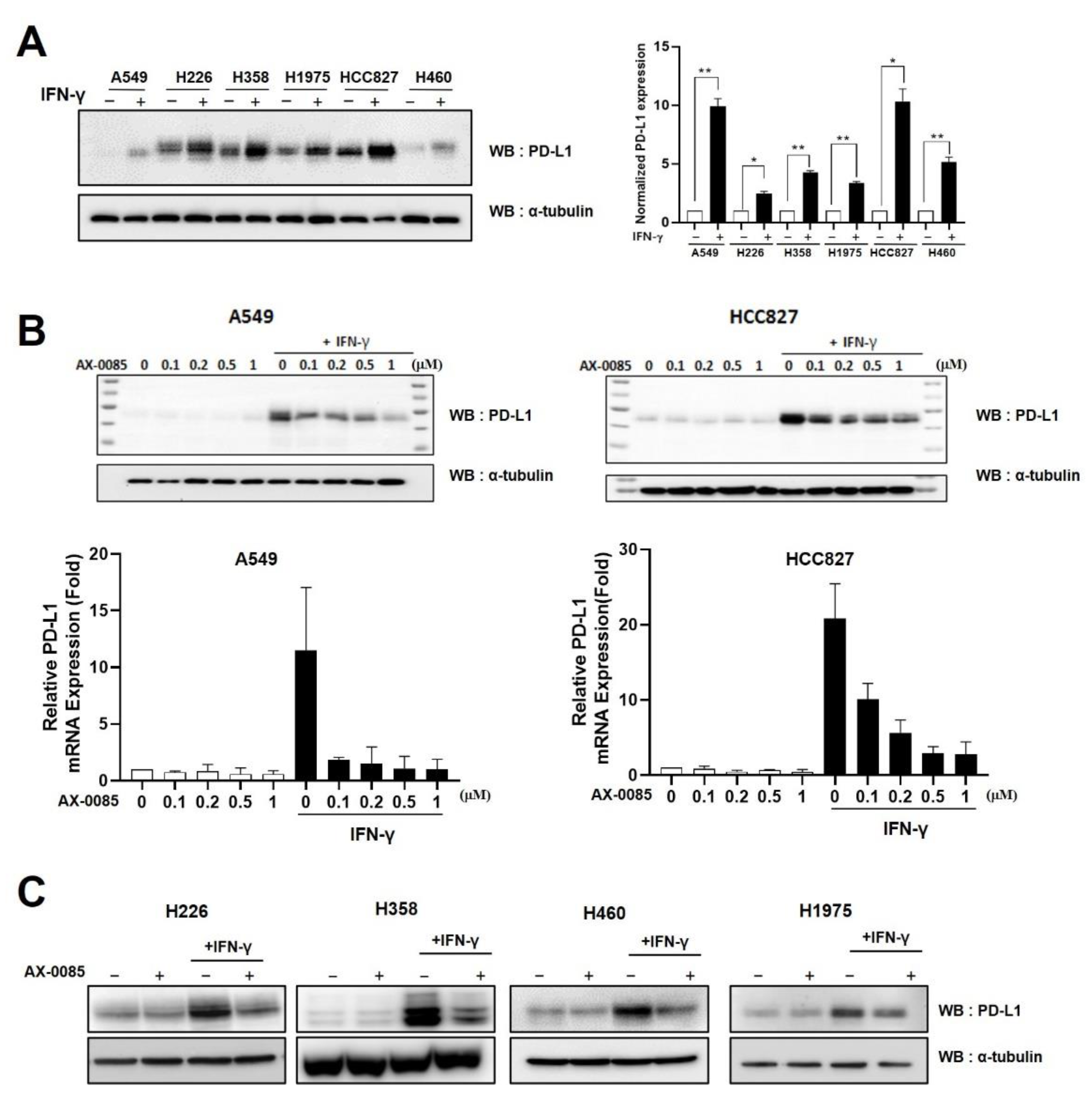 Cells 11 00019 g002 550