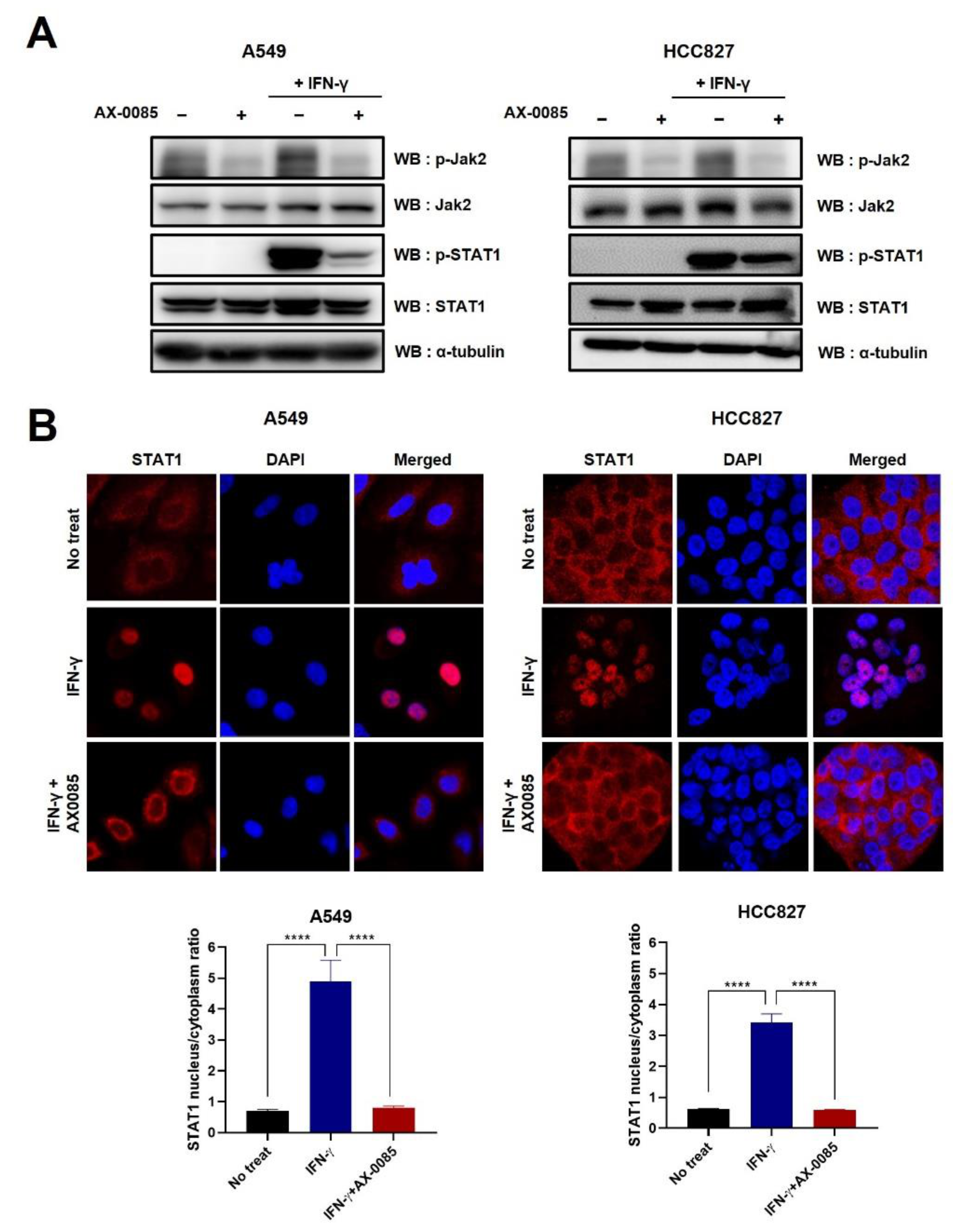 Cells 11 00019 g003 550