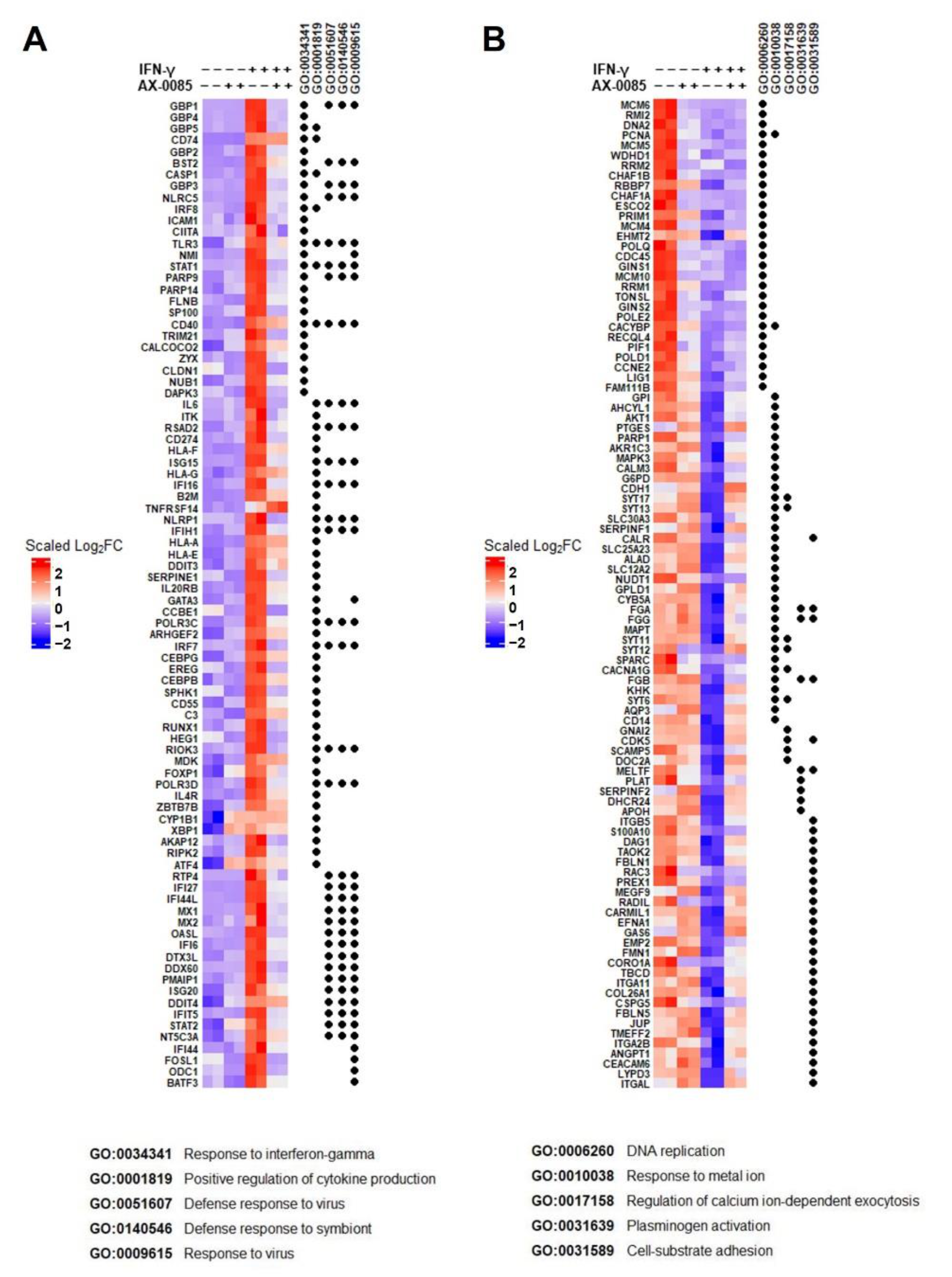 Cells 11 00019 g004 550