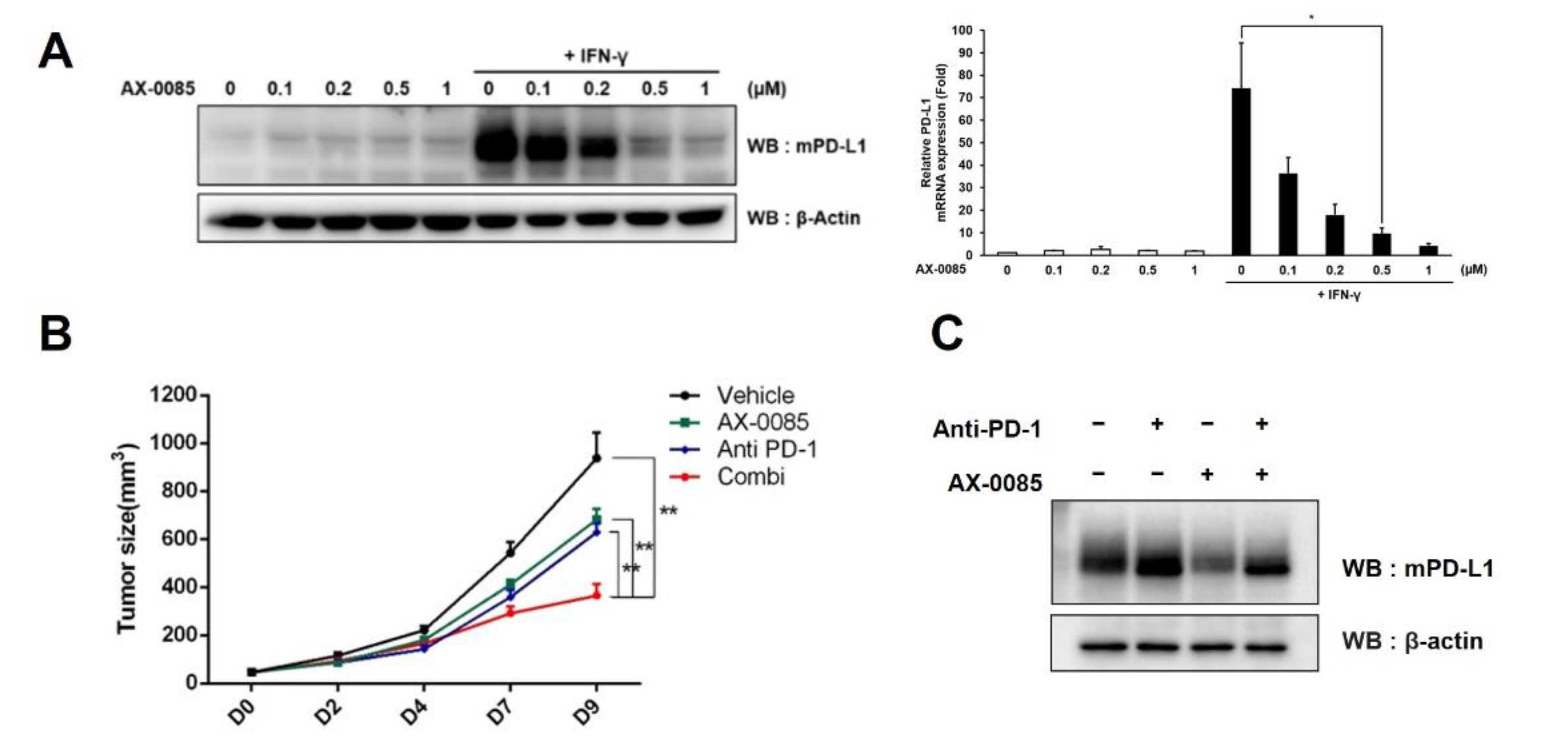 Cells 11 00019 g006 550