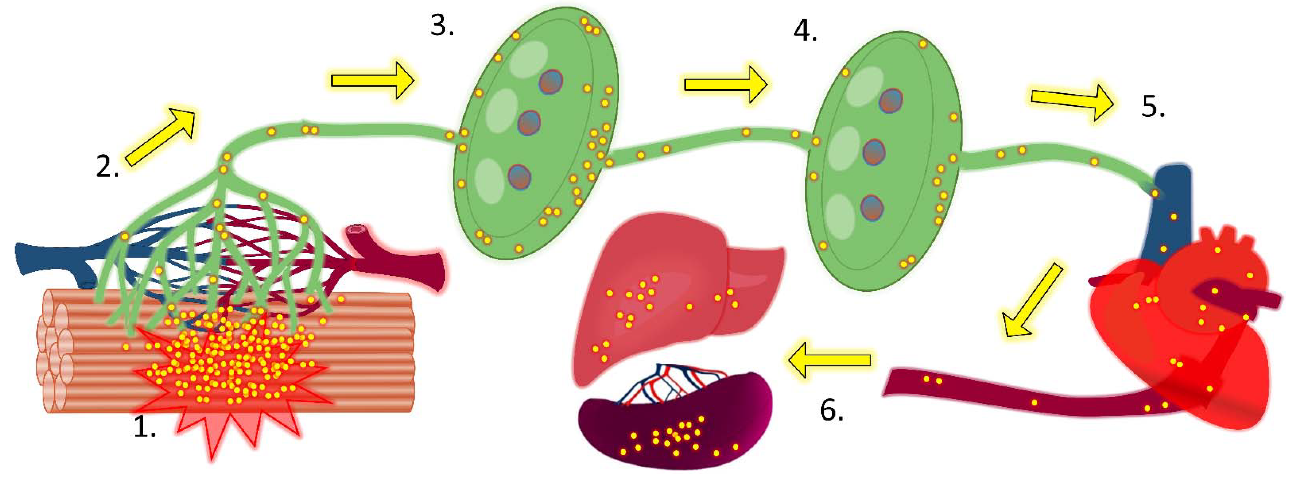 How Breath and the Cold Can Support Your Immune System – BRINK